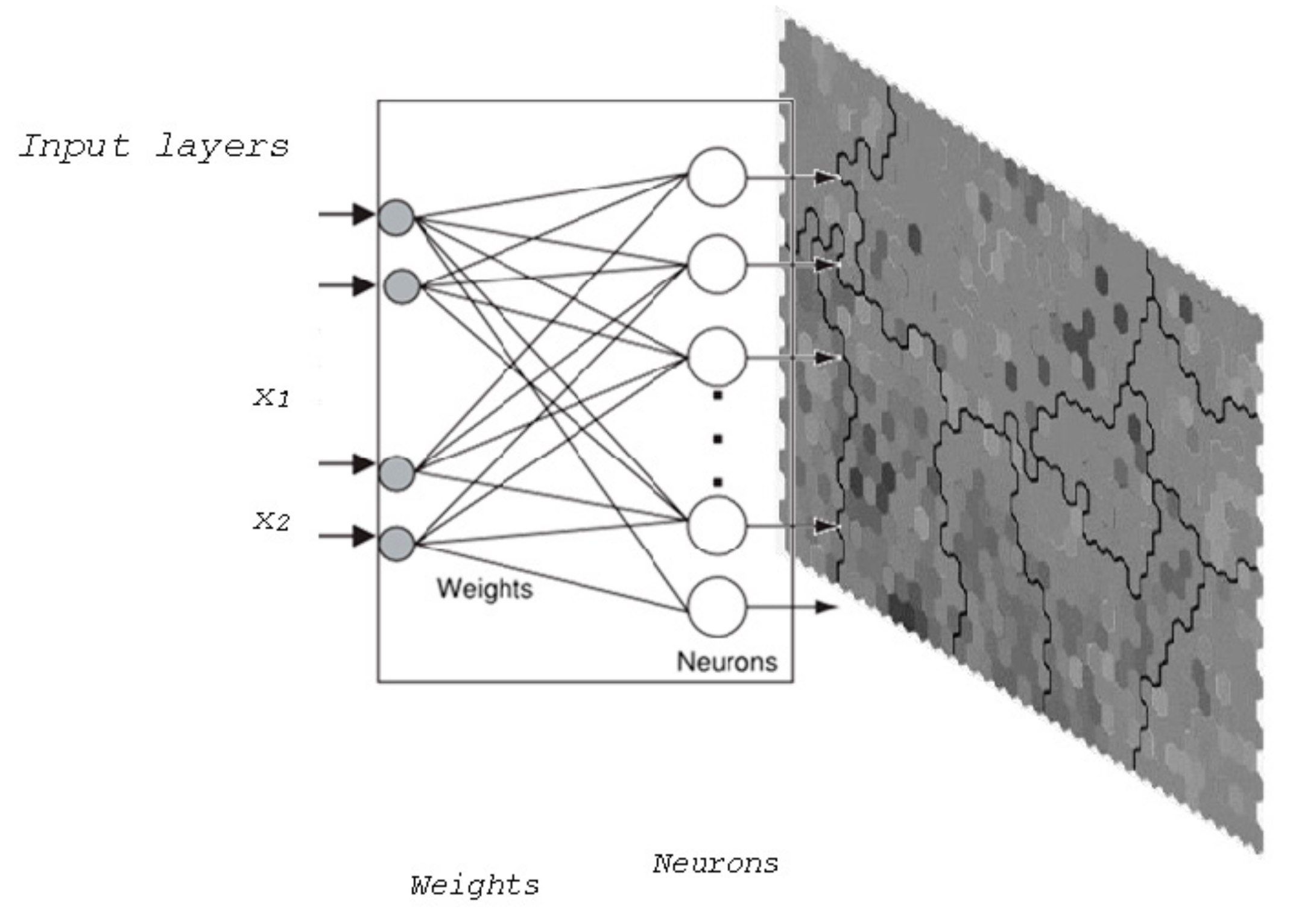 Socsci 09 00056 g009
