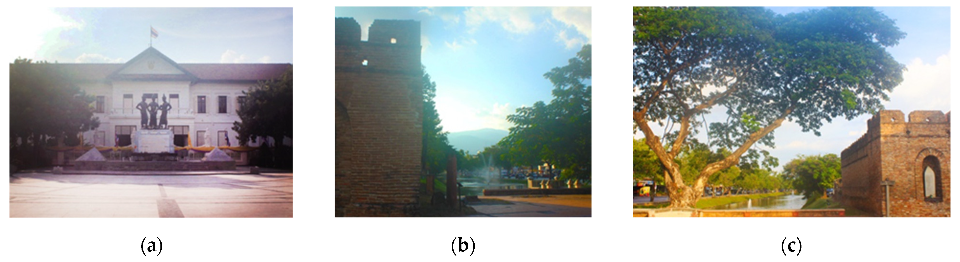 Socsci 10 00101 g006 Socsci 10 00101 g006