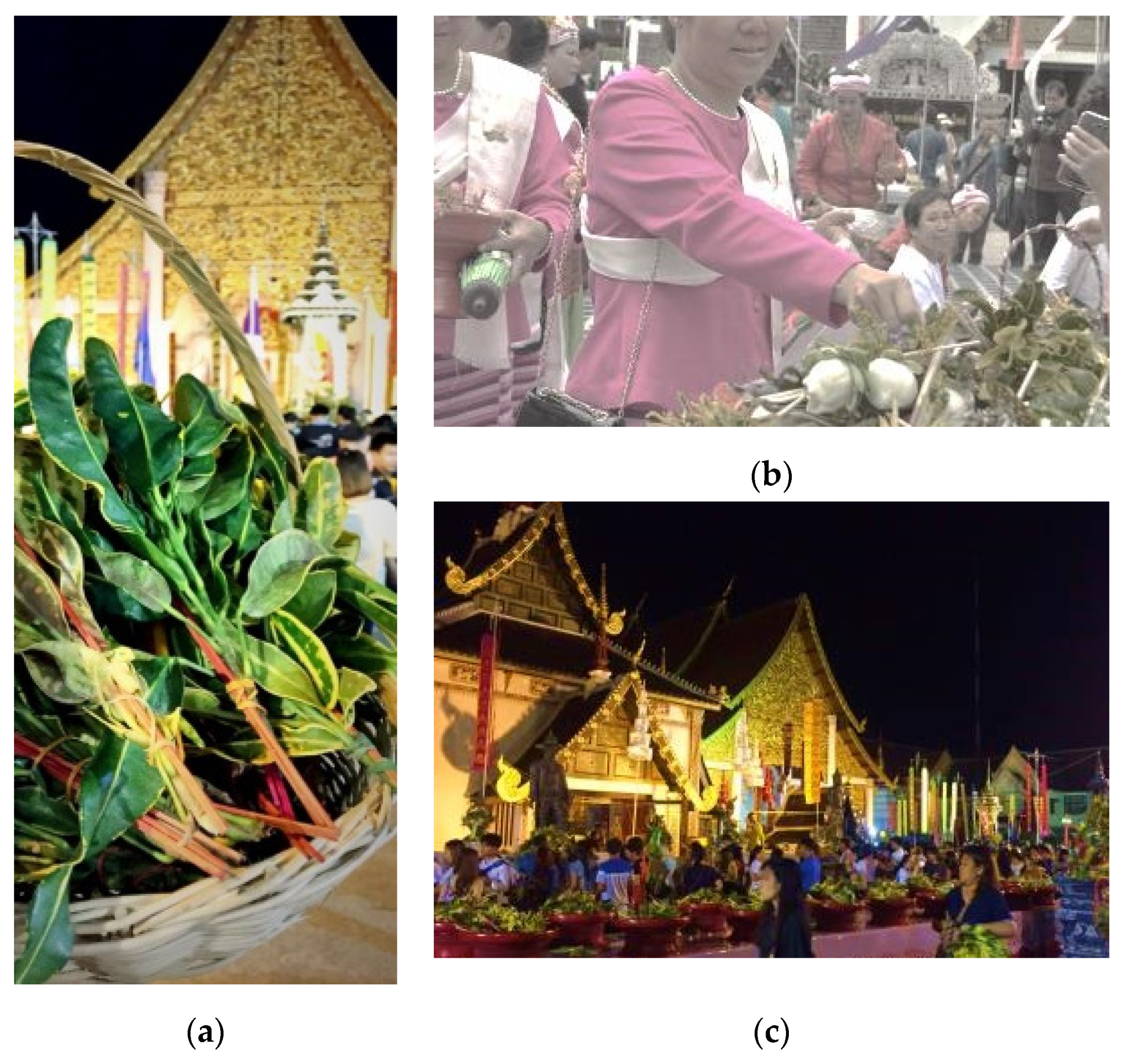 Socsci 10 00101 g009 Socsci 10 00101 g009