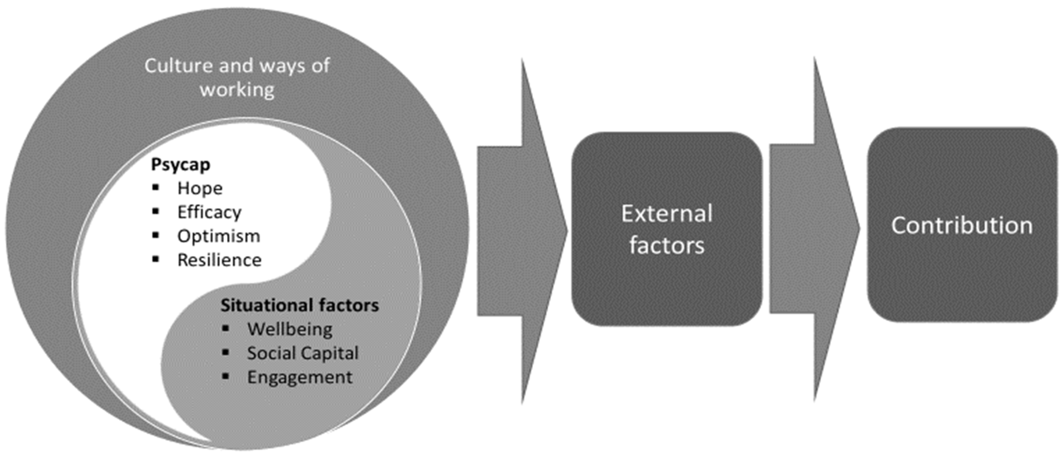 Socsci 10 00122 g001