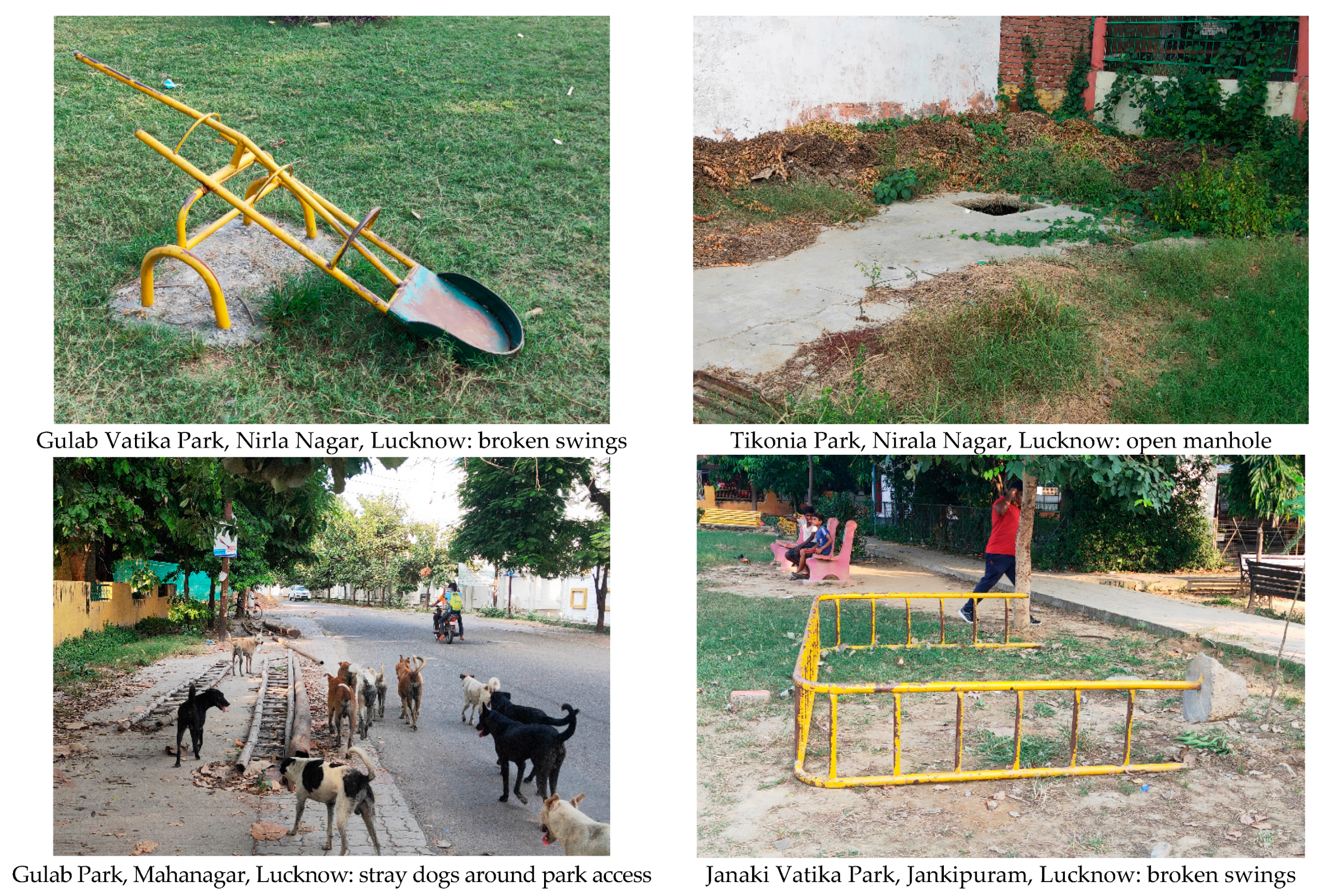 Socsci 10 00199 g003b