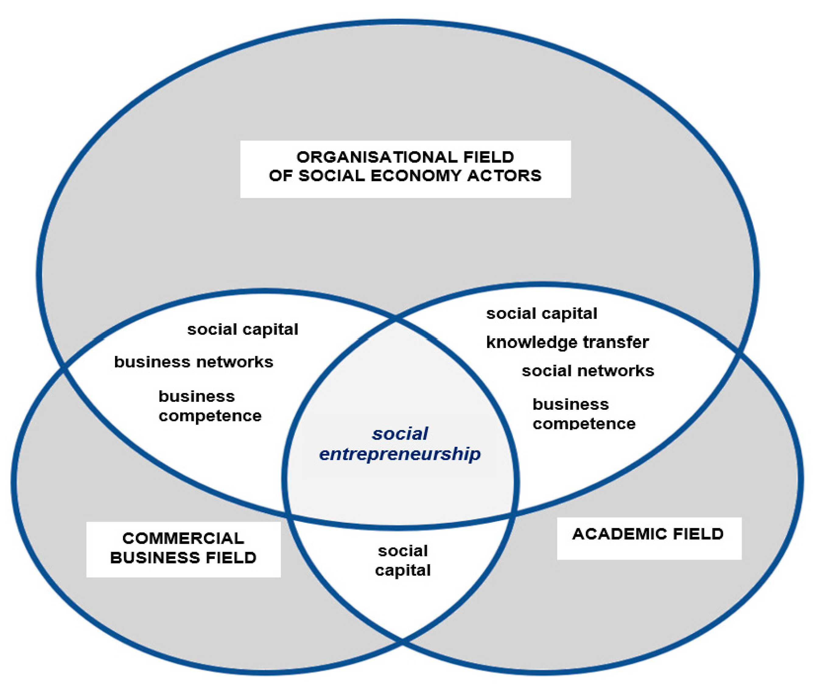 Socsci 10 00201 g004