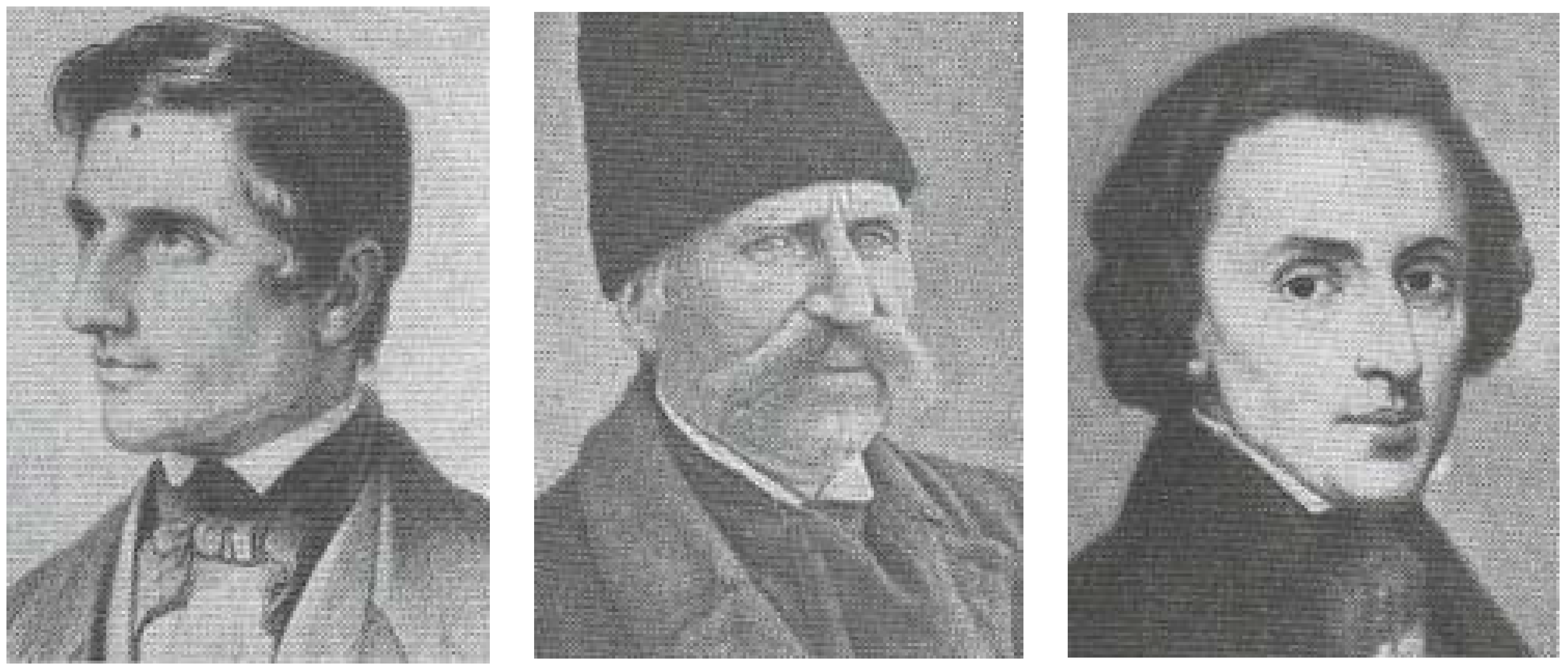 Socsci 10 00232 g0a2