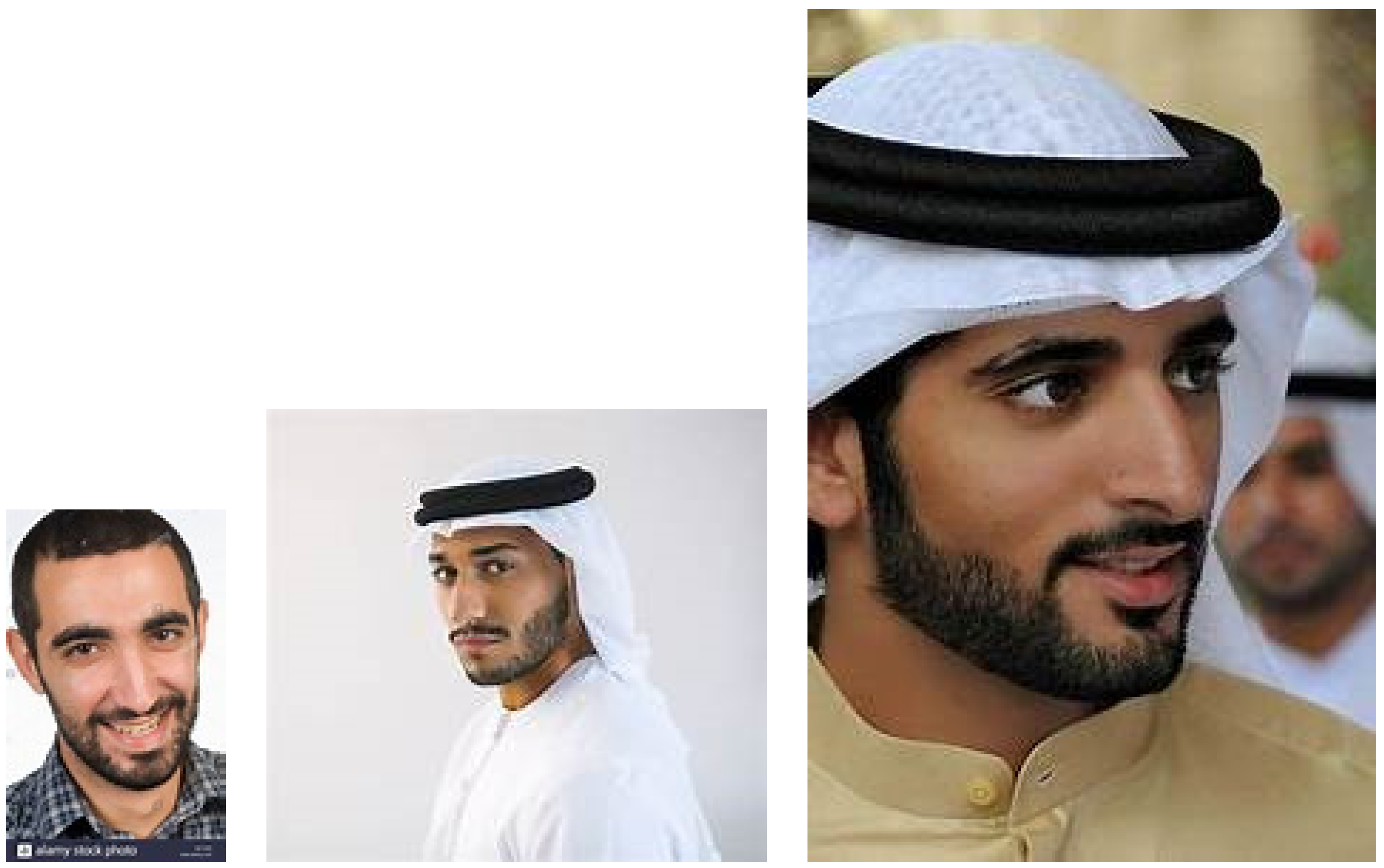 Socsci 10 00232 g0a3