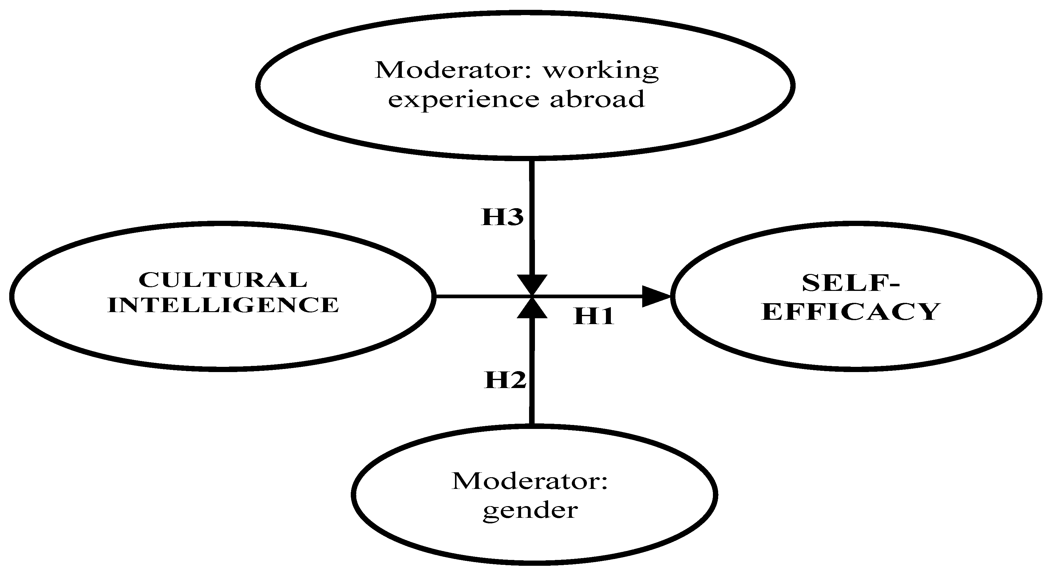 Socsci 10 00312 g002