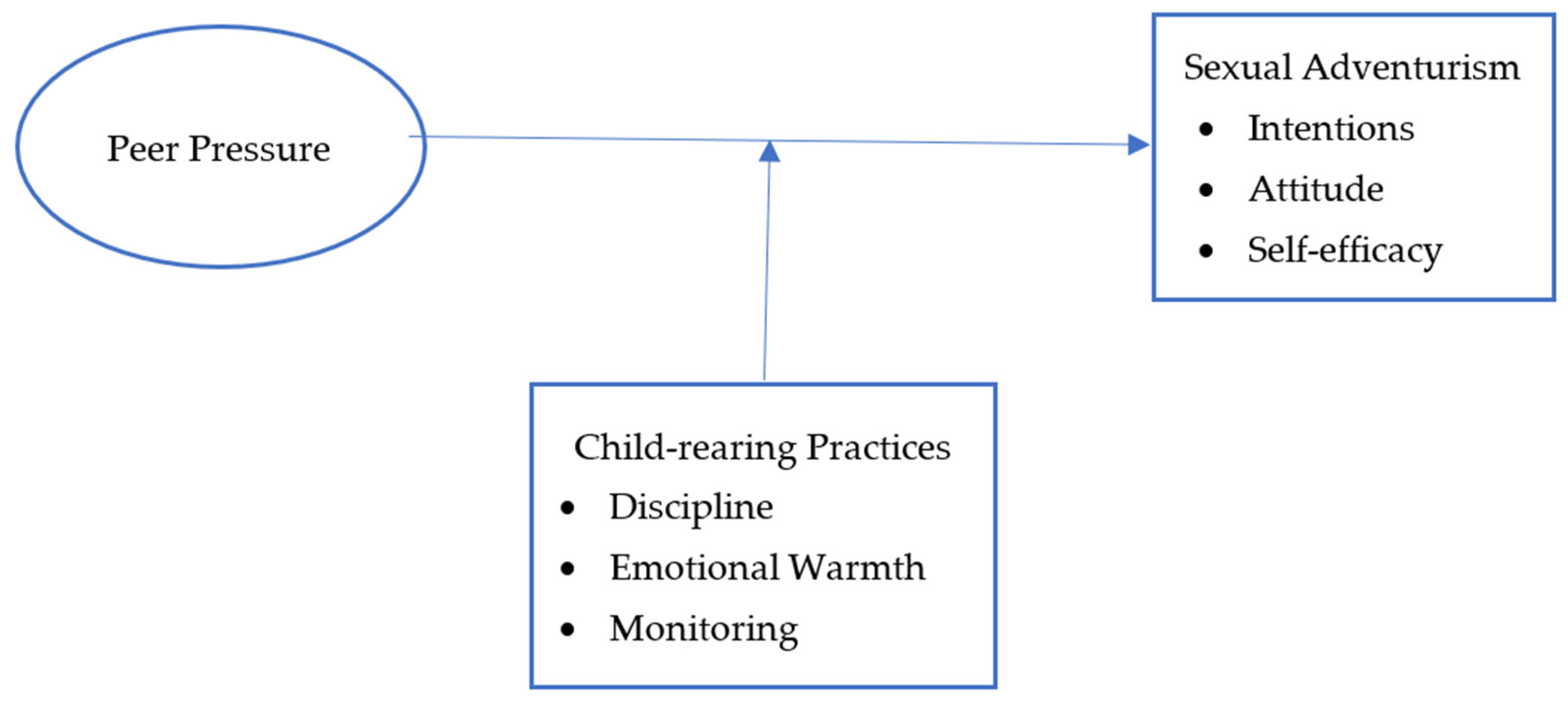 Socsci 10 00418 g001