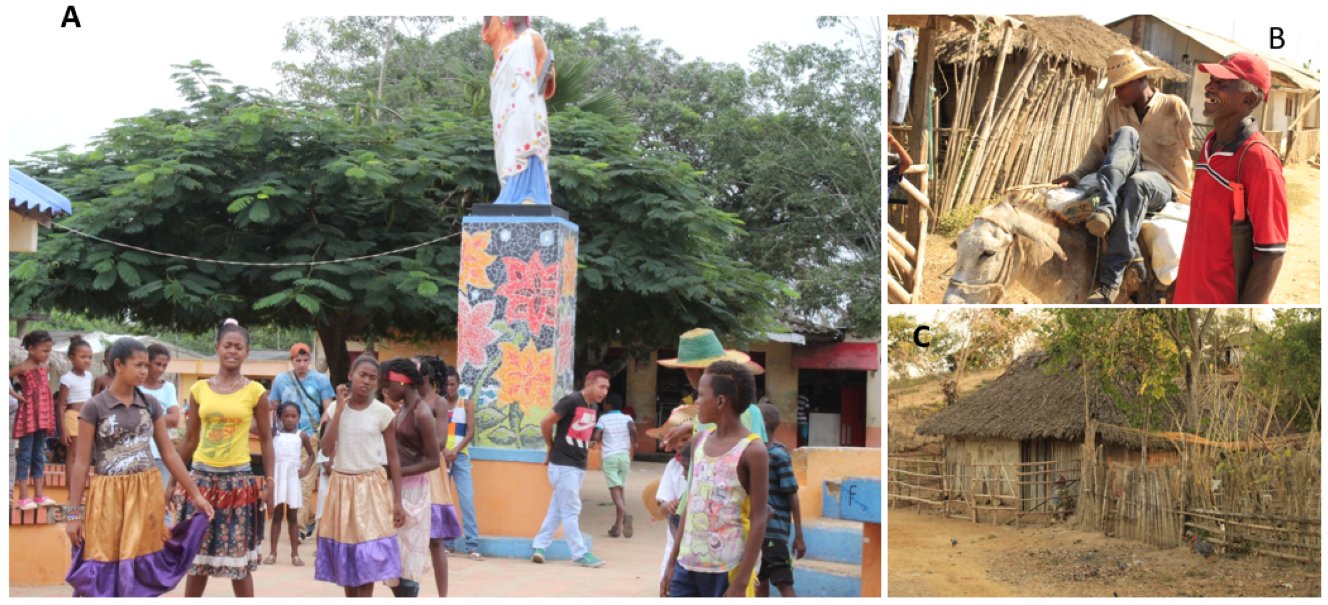 Socsci 11 00103 g002