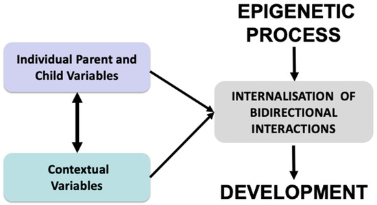 Epigenesis piaget sales