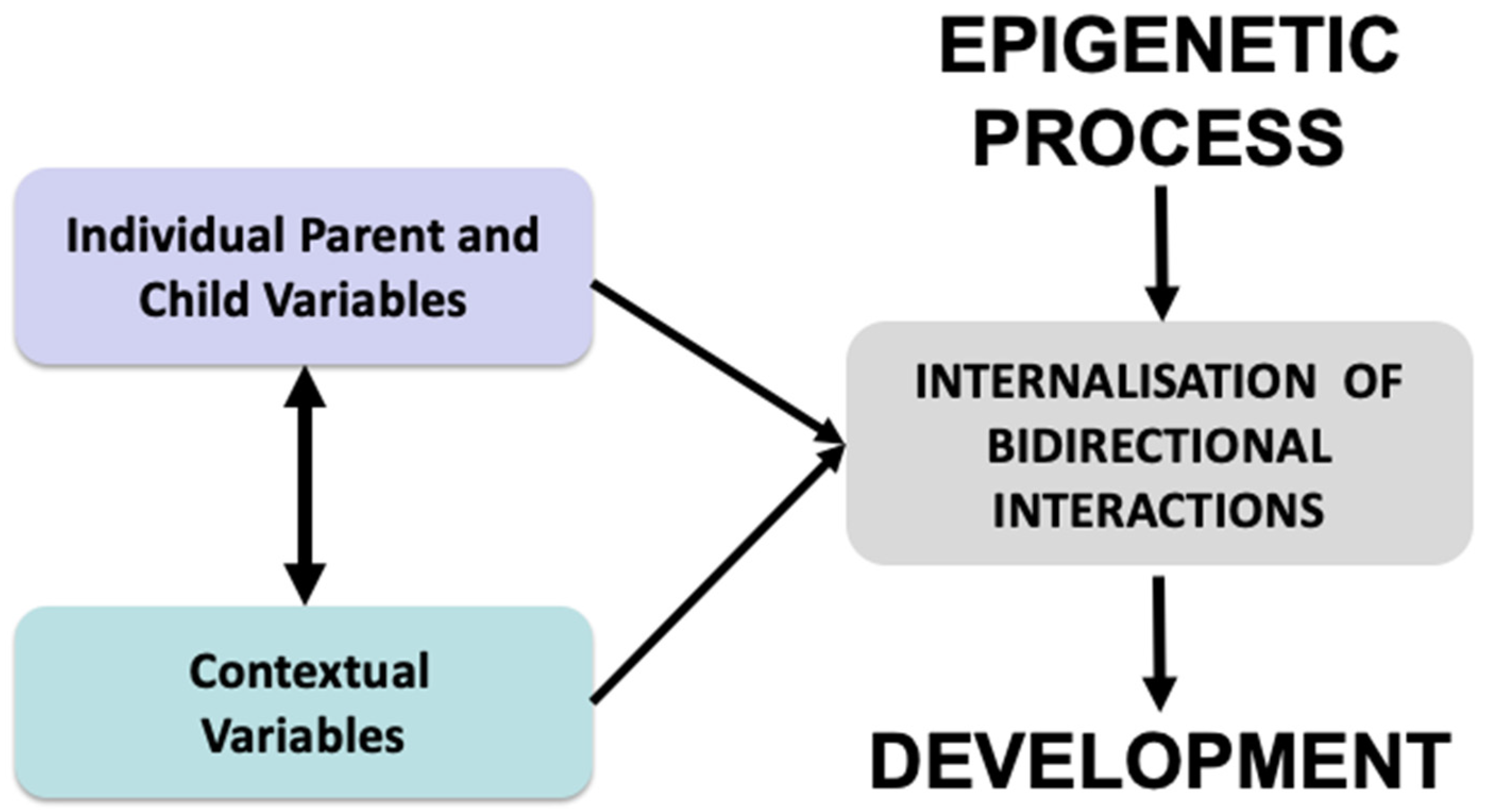 PDF) Jean Piaget's Genetic Epistemology as a Theory of Knowledge Based on Epigenesis