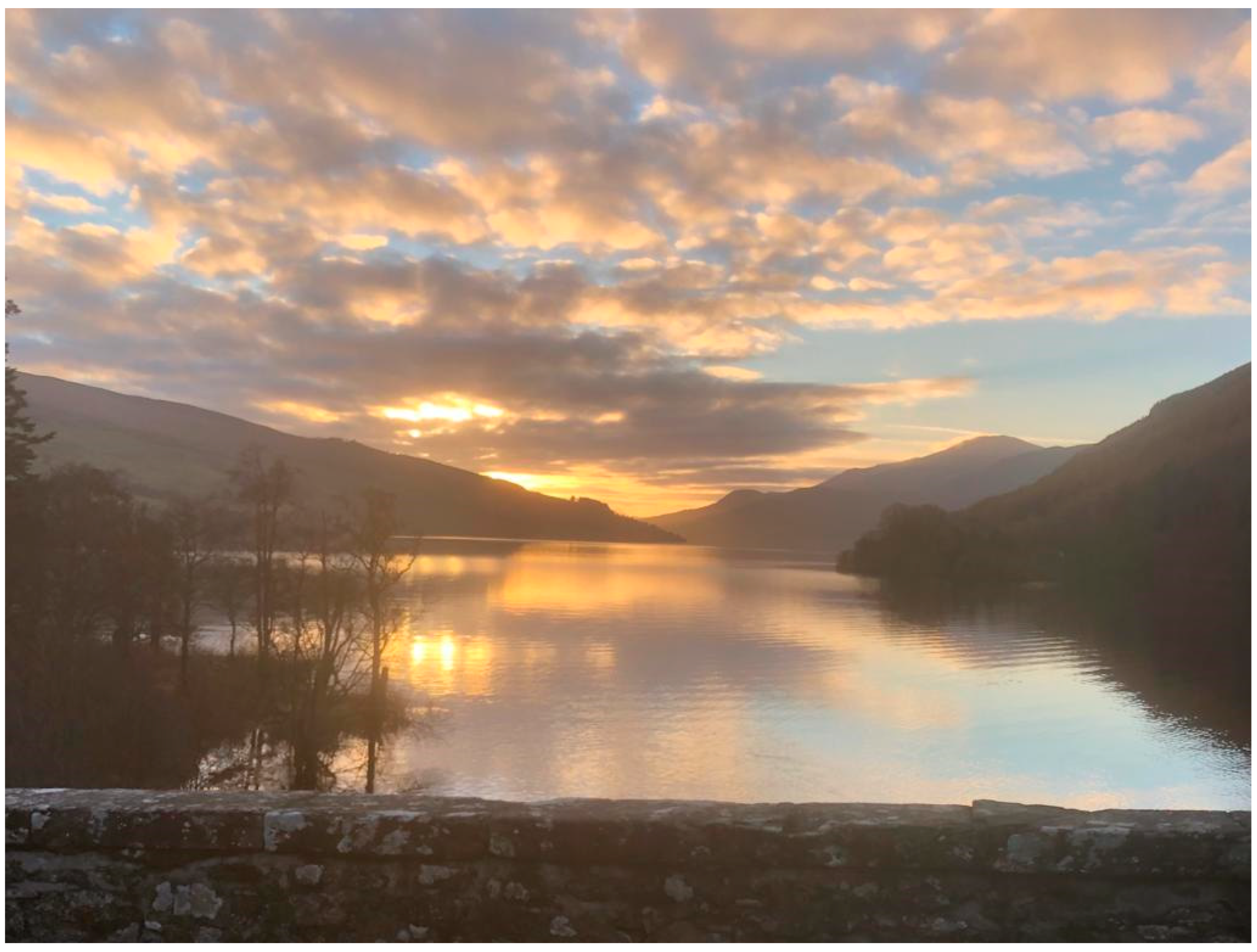 Socsci 11 00159 g004