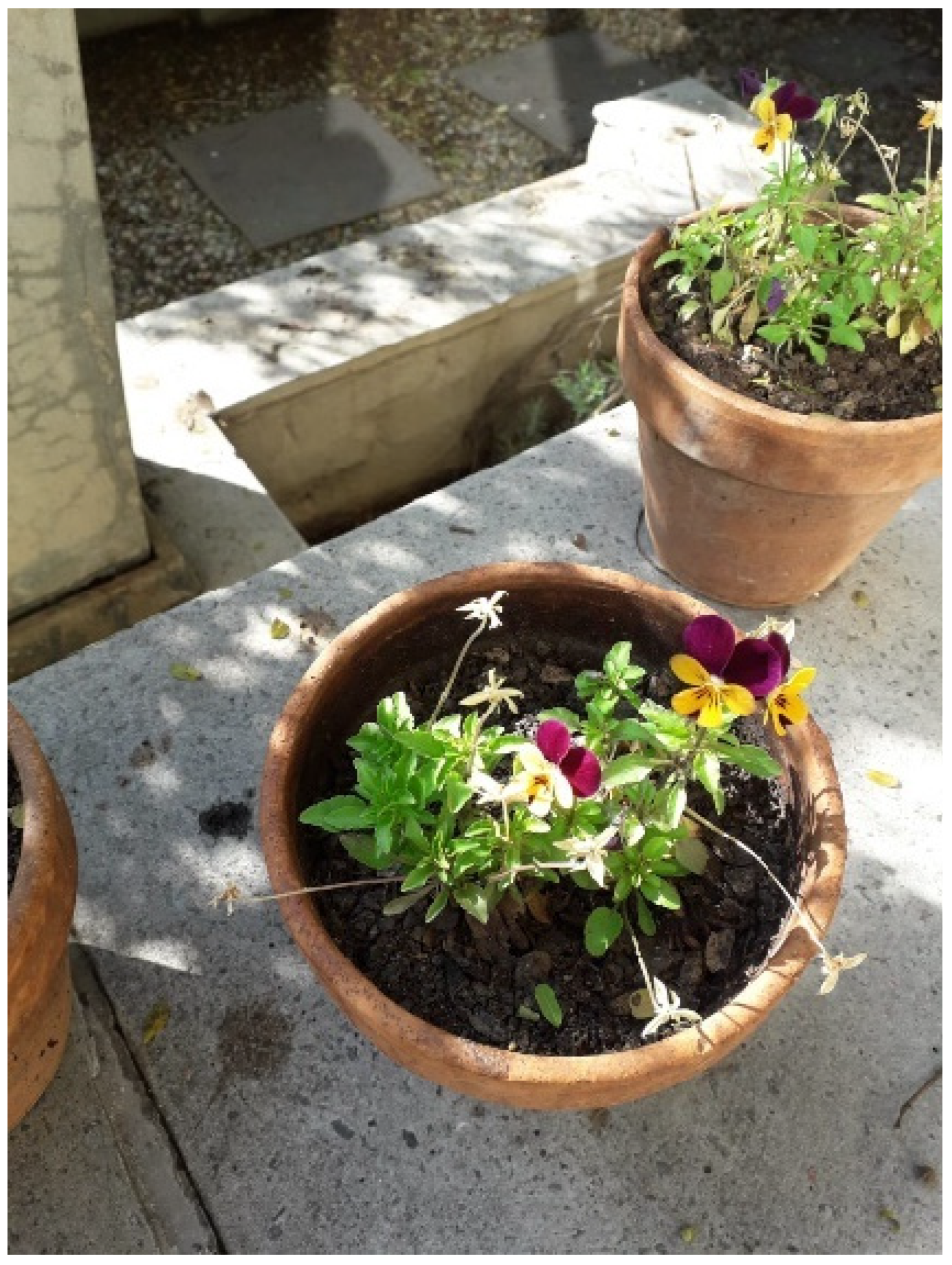 Socsci 11 00277 i003