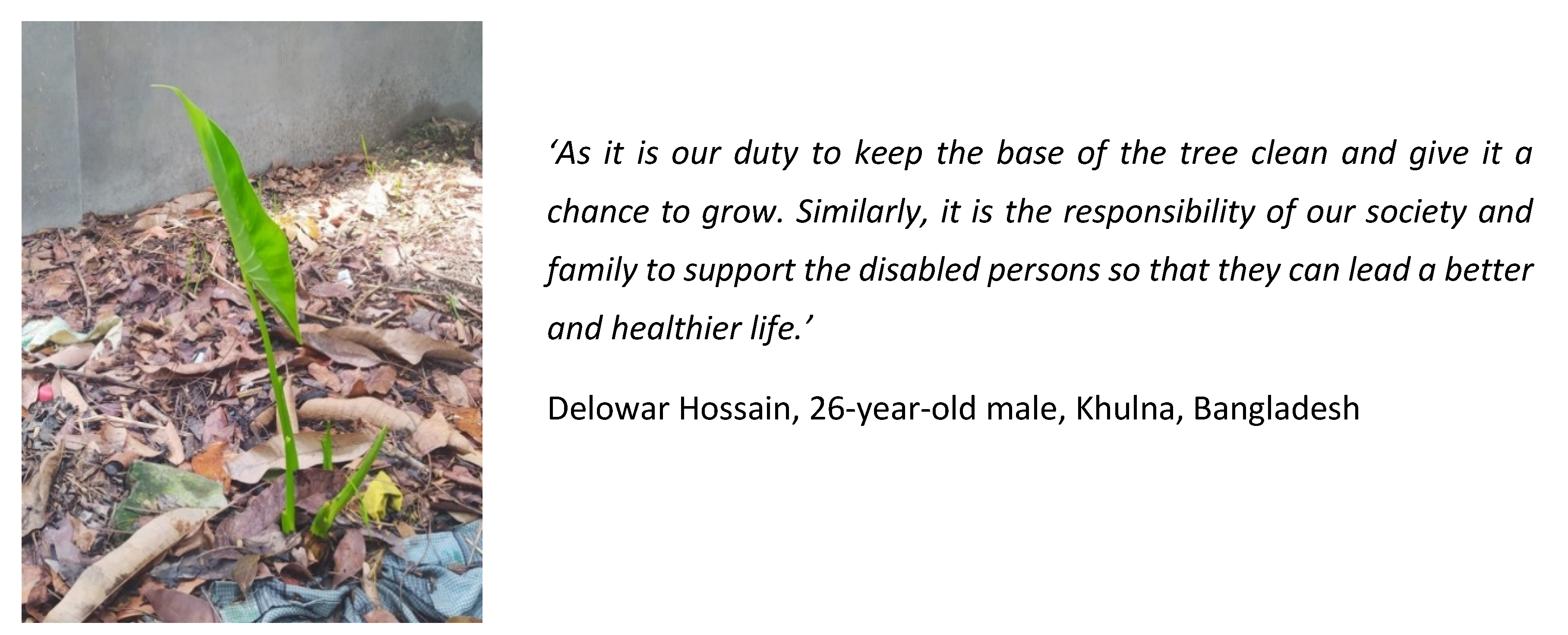 Socsci 11 00378 g019