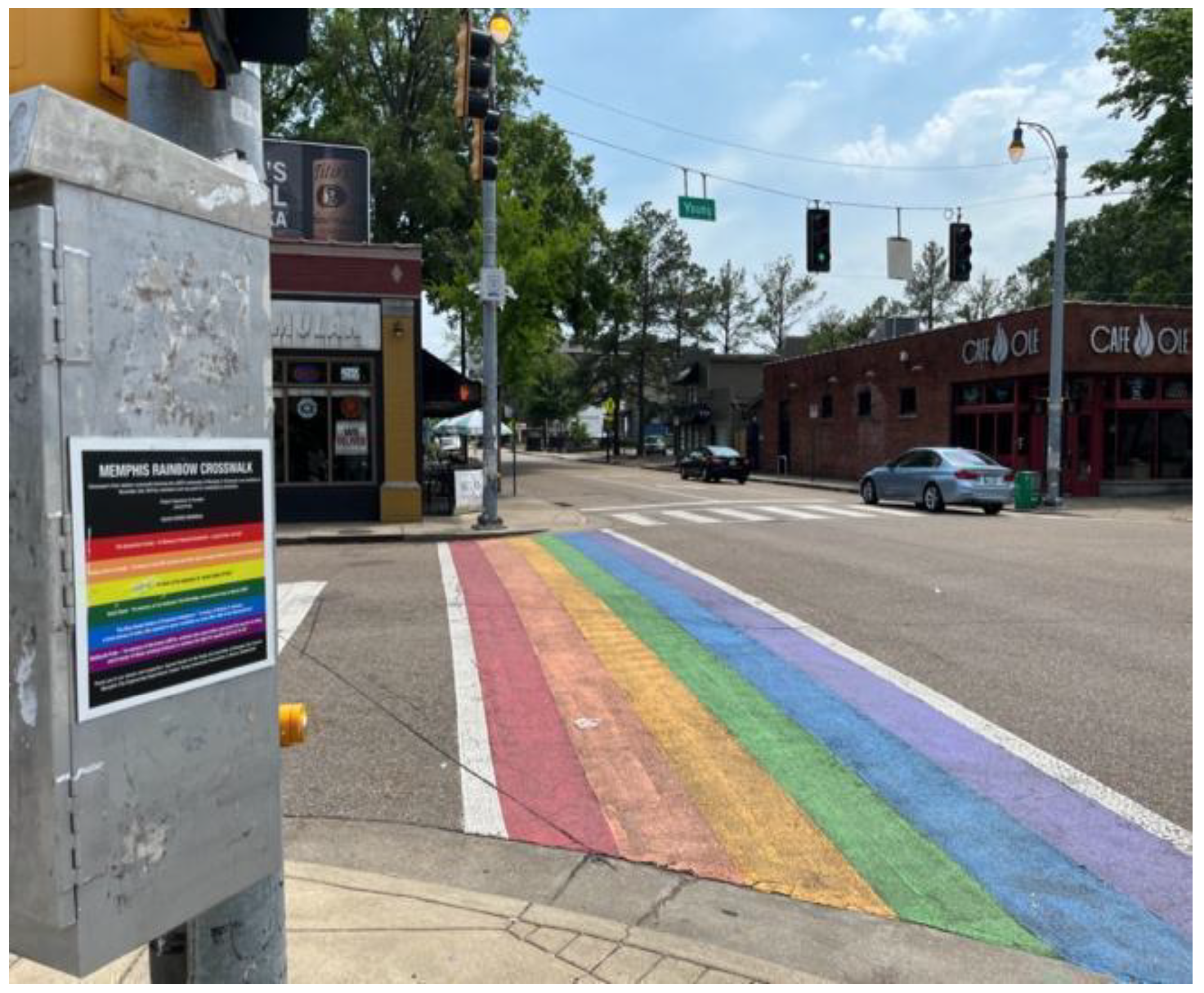 Socsci 11 00429 g009