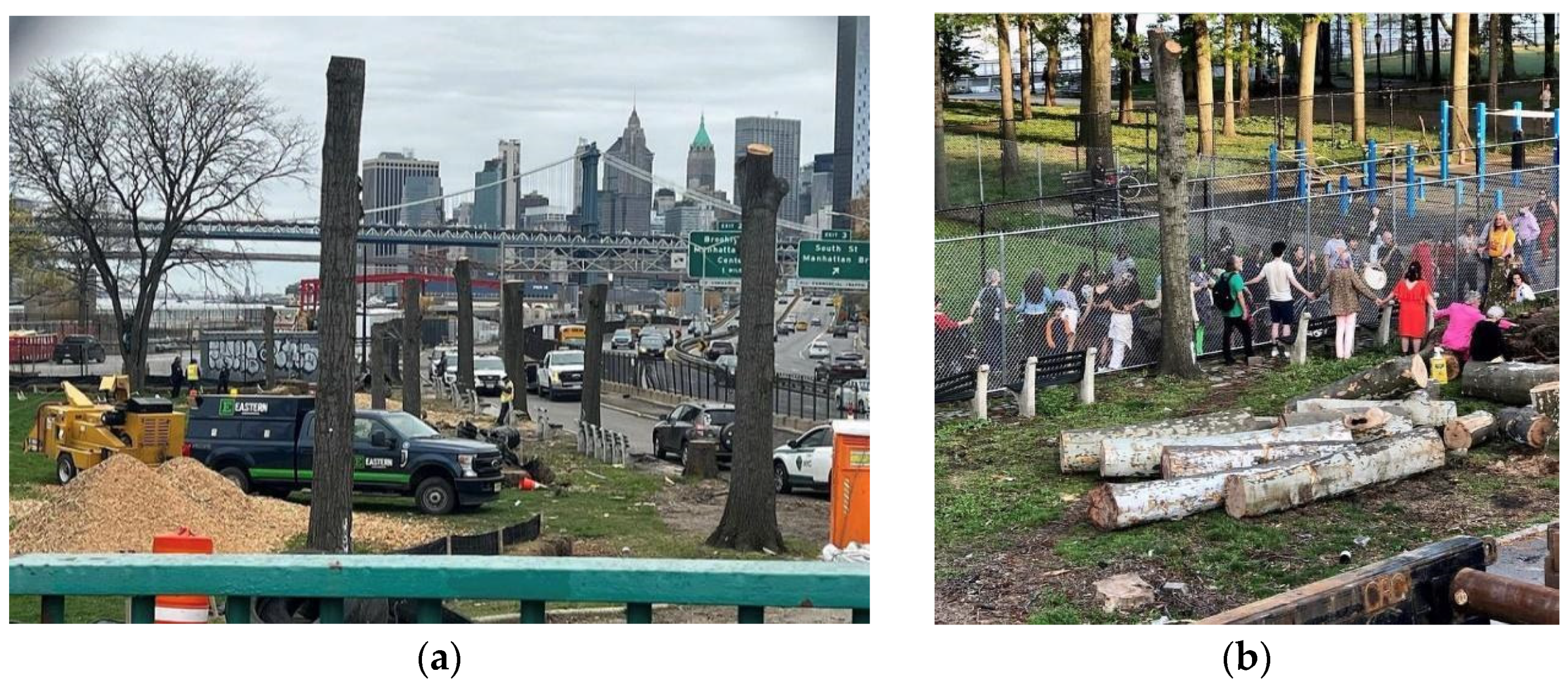 Social Sciences Free Full-Text Design for Climate Change in the Neoliberal Present Gentrification, Ecocide, and the Loss of Urbanity in New York City photo