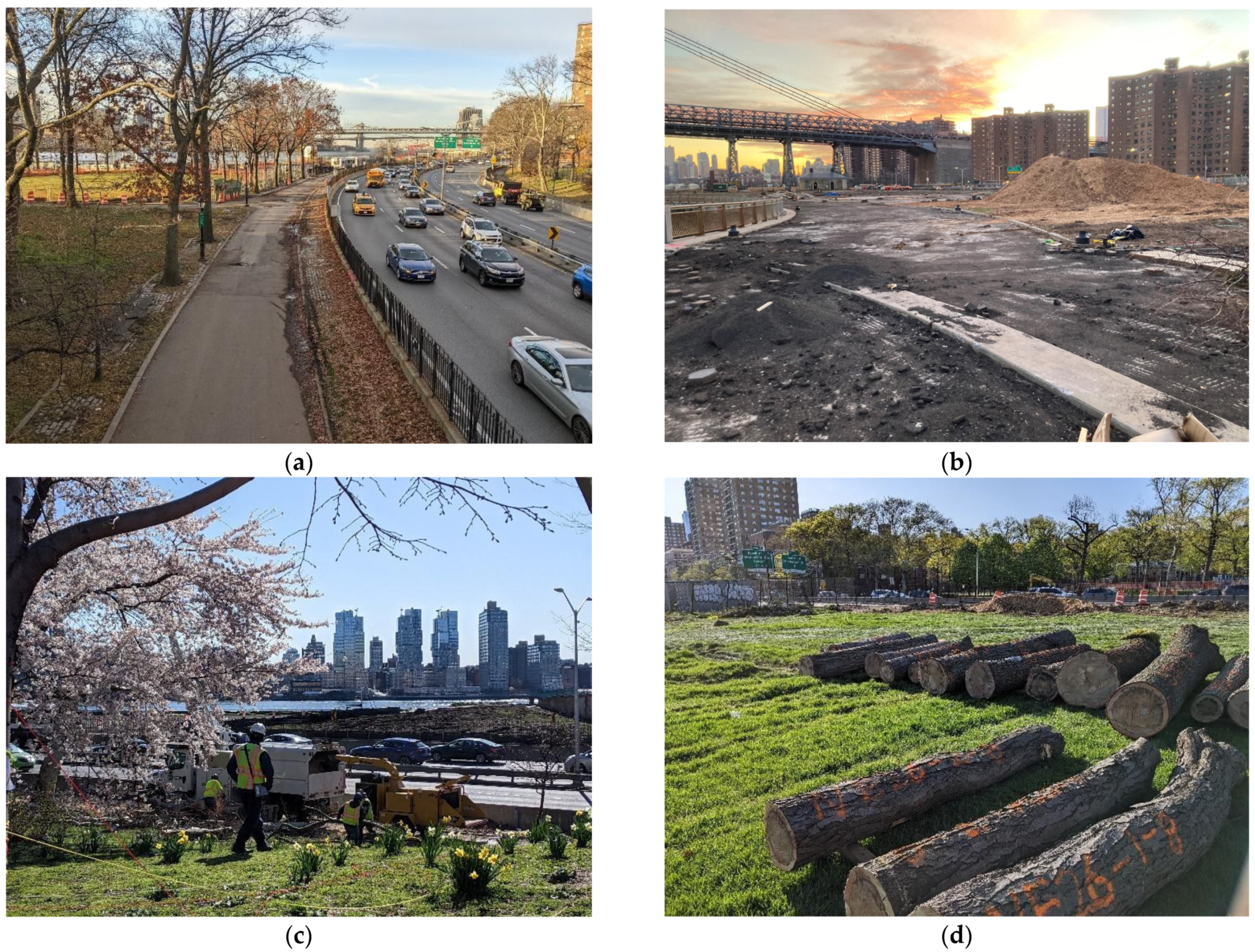 Socsci 11 00451 g012a