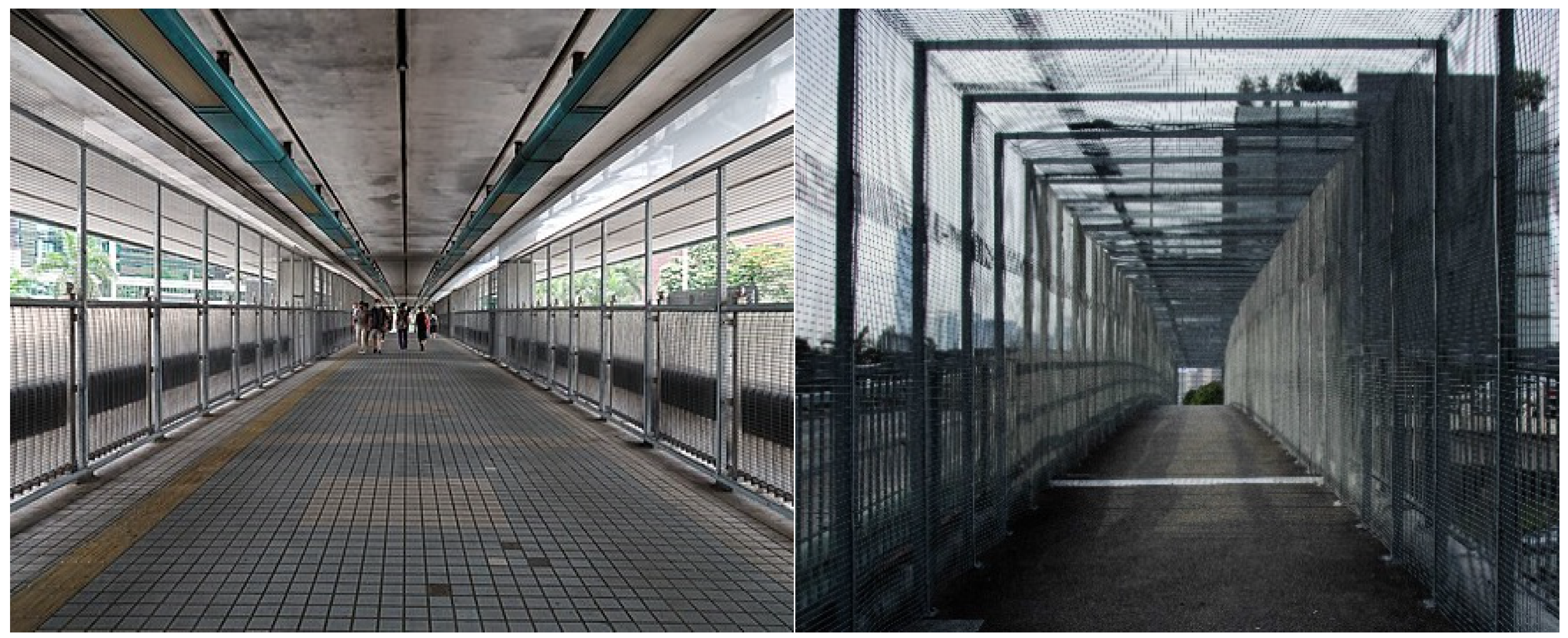 Socsci 11 00546 g004