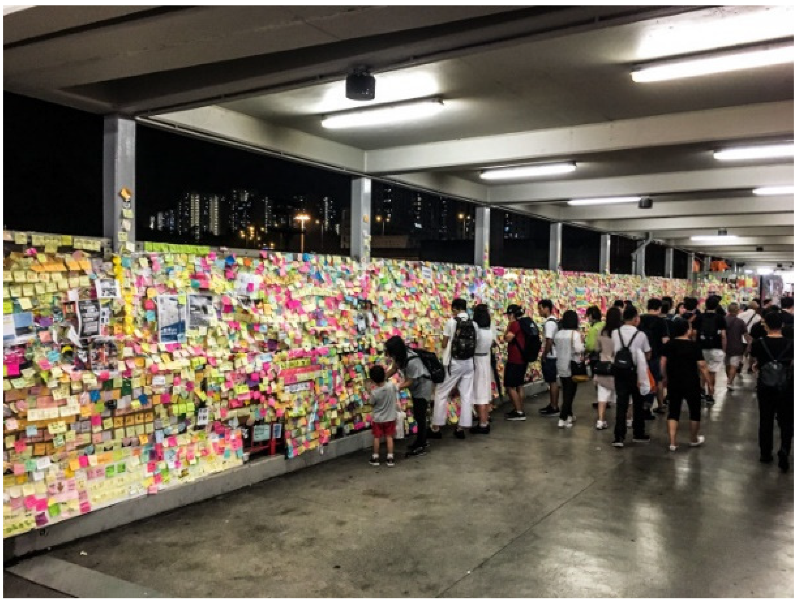 Socsci 11 00546 g005