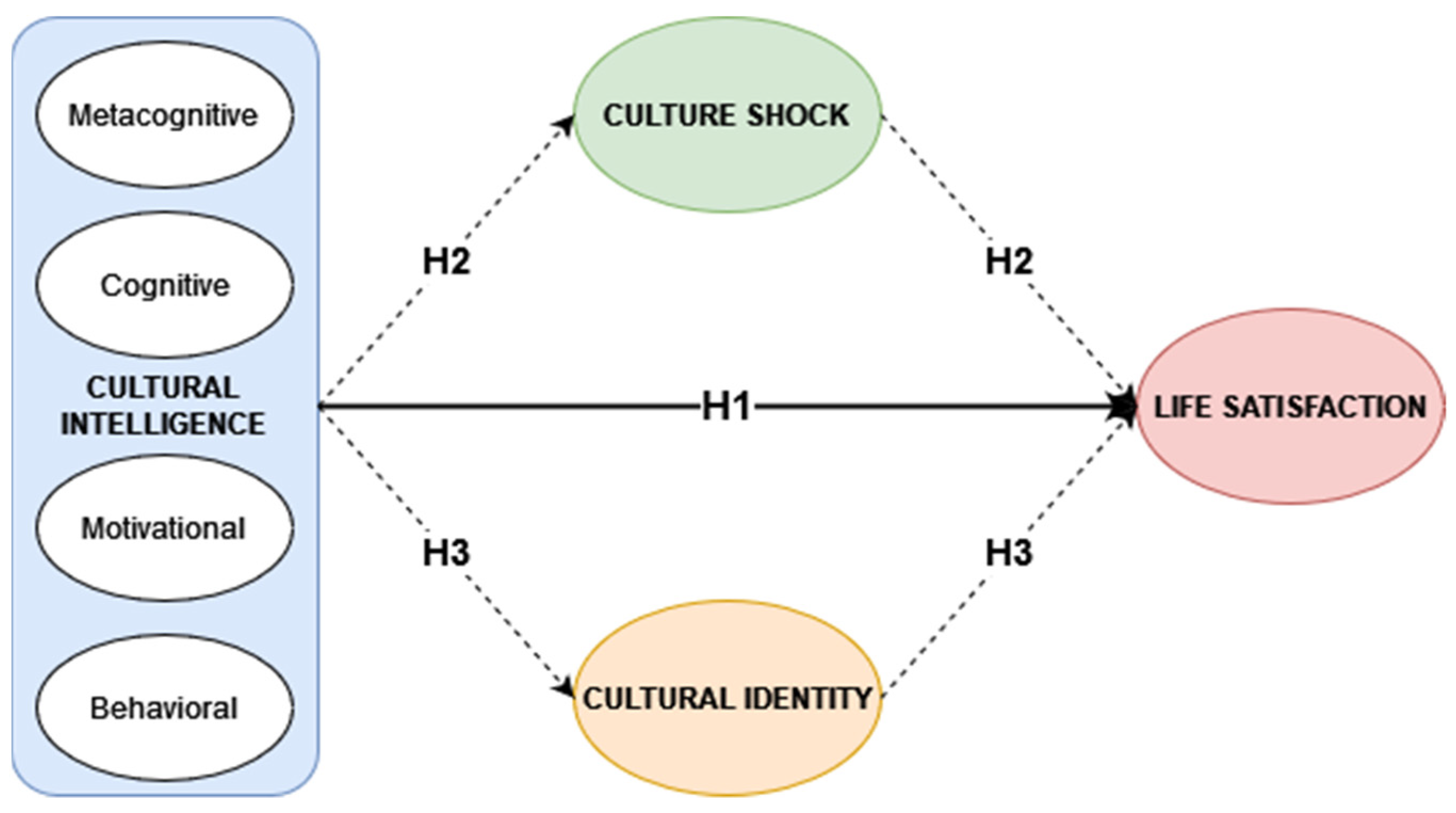 Social Sciences Free FullText What Makes People Abroad Satisfied