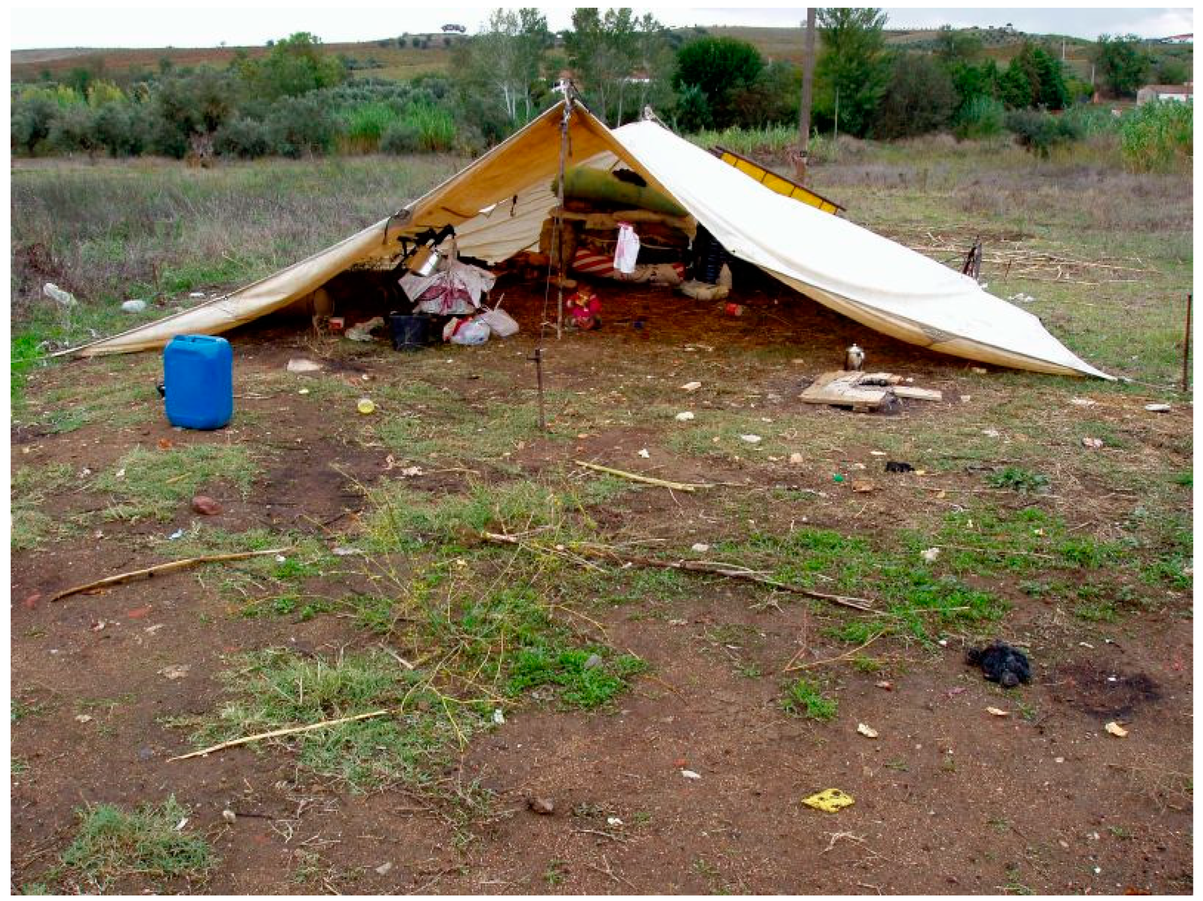 Socsci 12 00196 g001