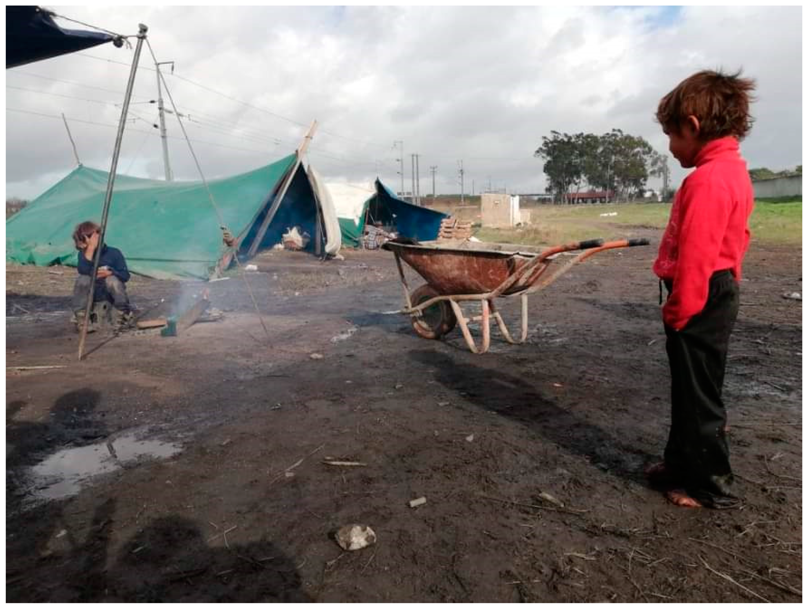 Socsci 12 00196 g003