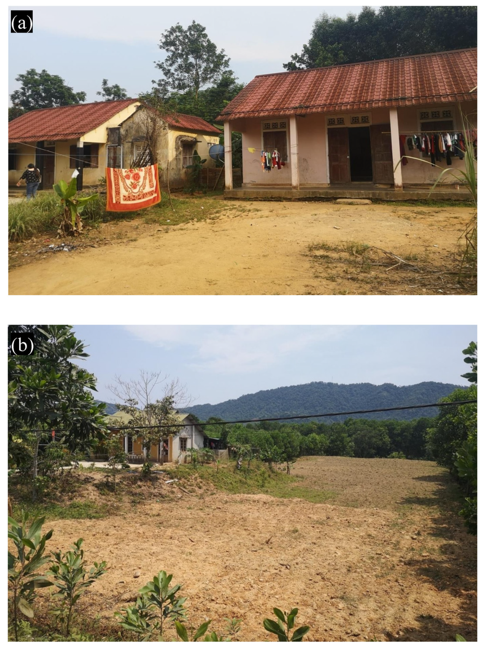 Socsci 12 00222 g010