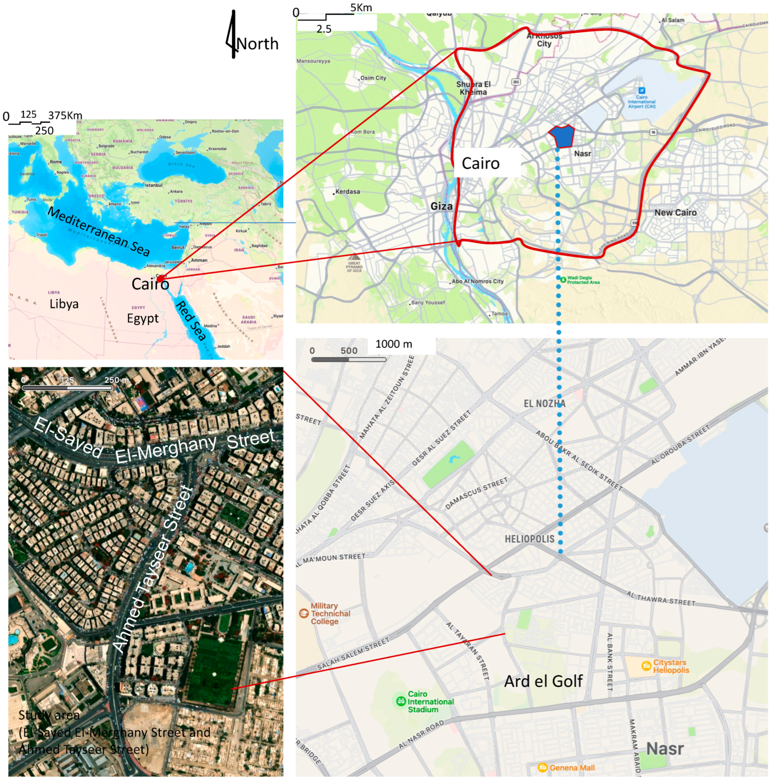 Socsci 12 00278 g001