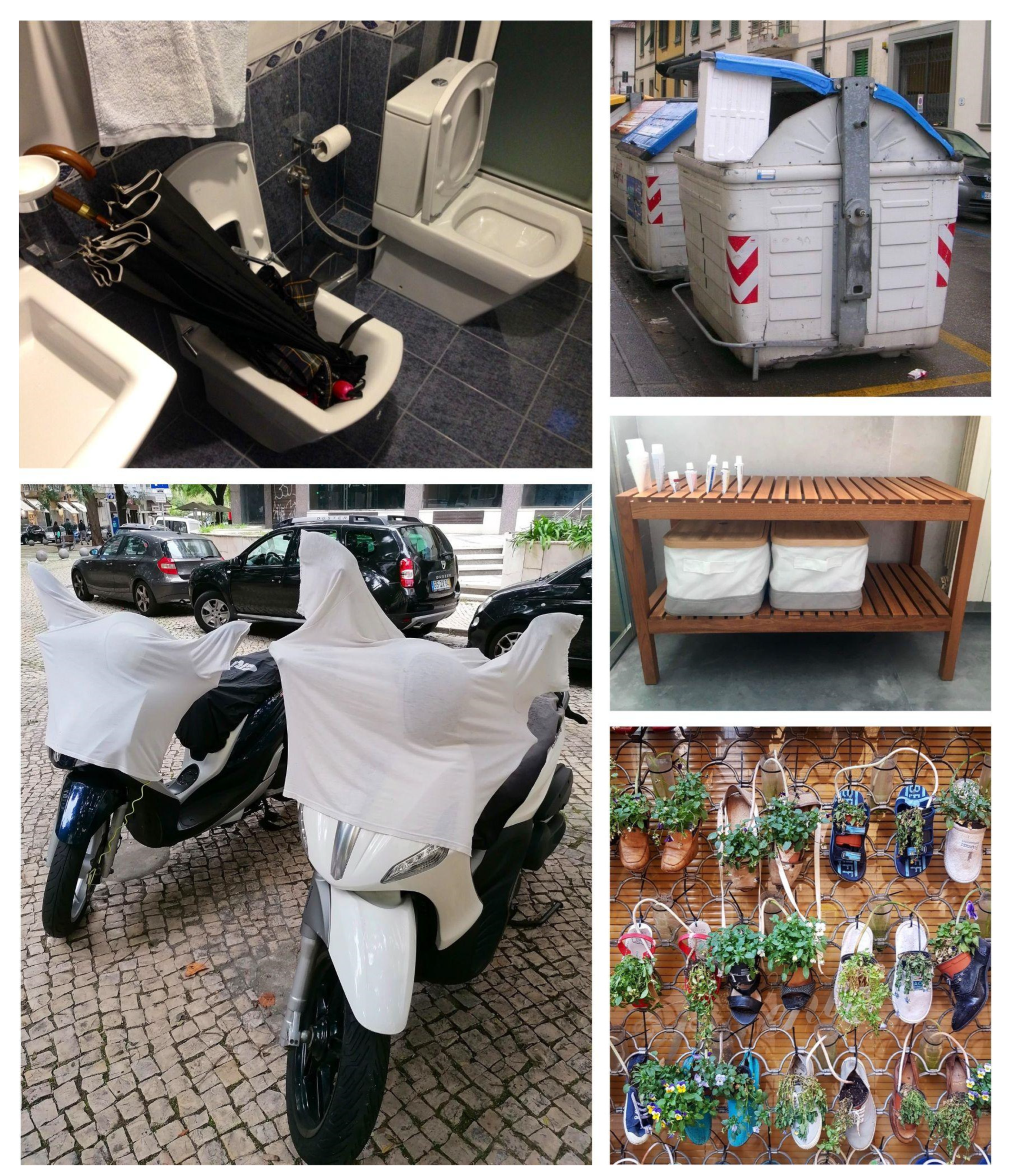 Socsci 12 00319 g006