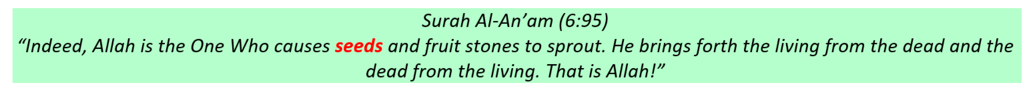 Socsci 12 00321 g013