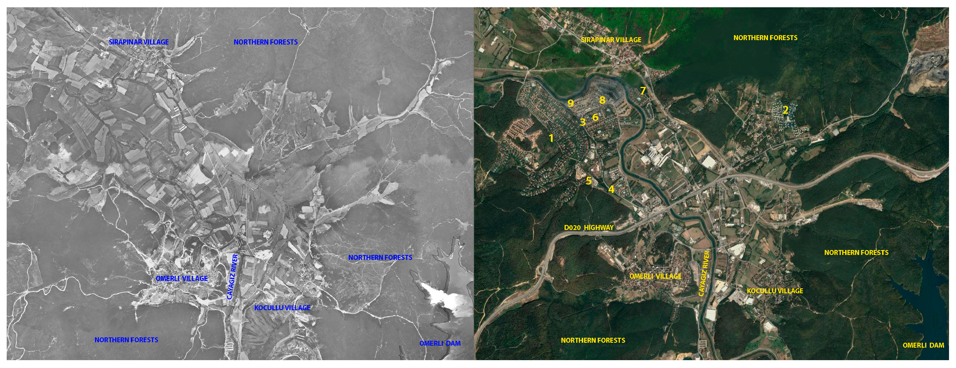 Socsci 12 00342 g002 Socsci 12 00342 g002