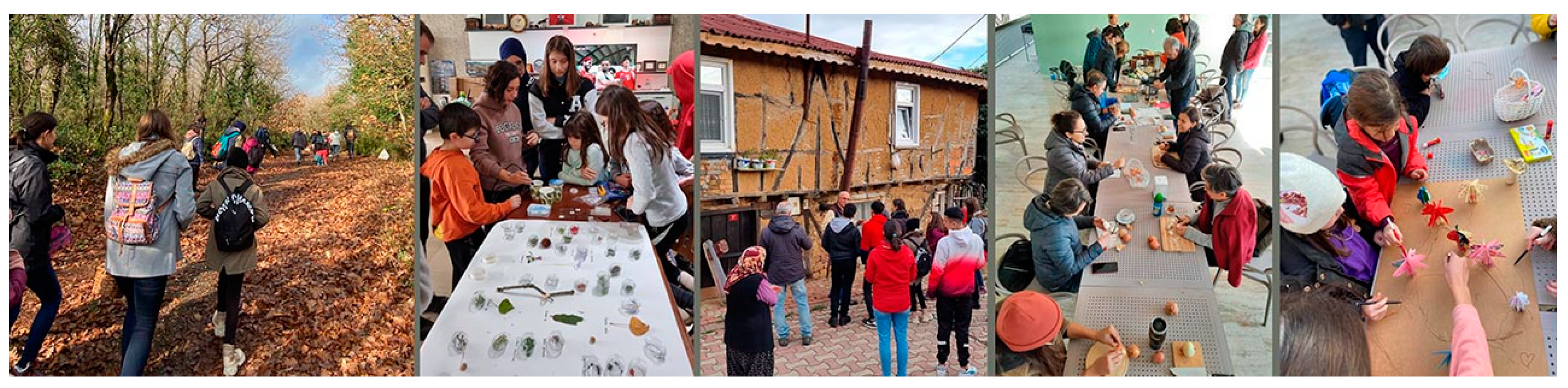 Socsci 12 00342 g003 Socsci 12 00342 g003