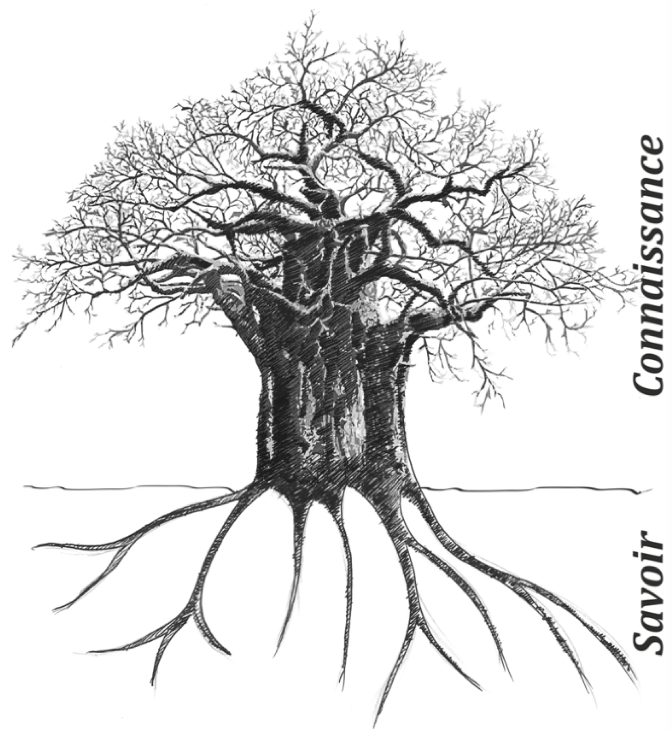 Socsci 12 00393 g001 Socsci 12 00393 g001