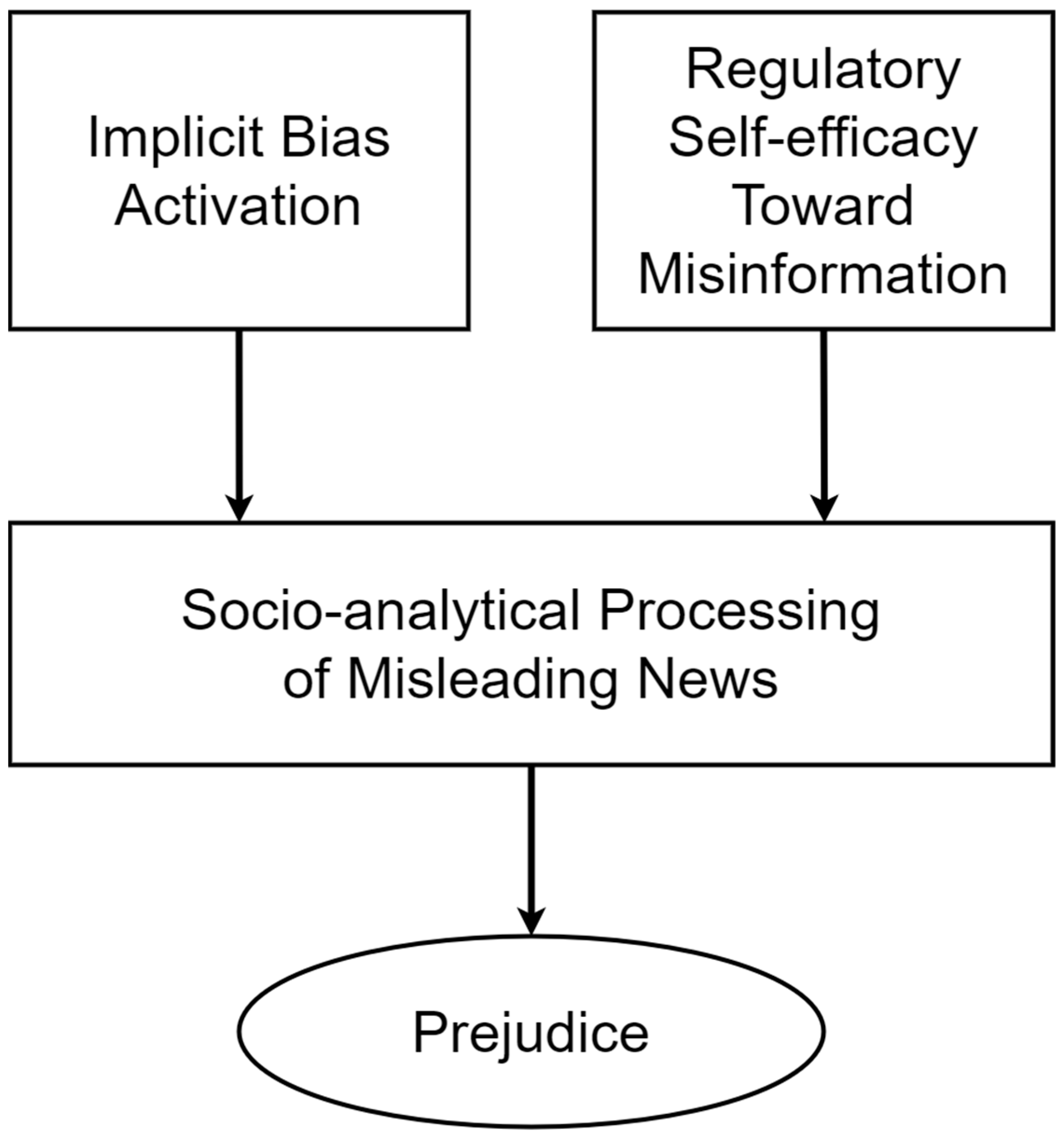 Socsci 12 00470 g001 Socsci 12 00470 g001