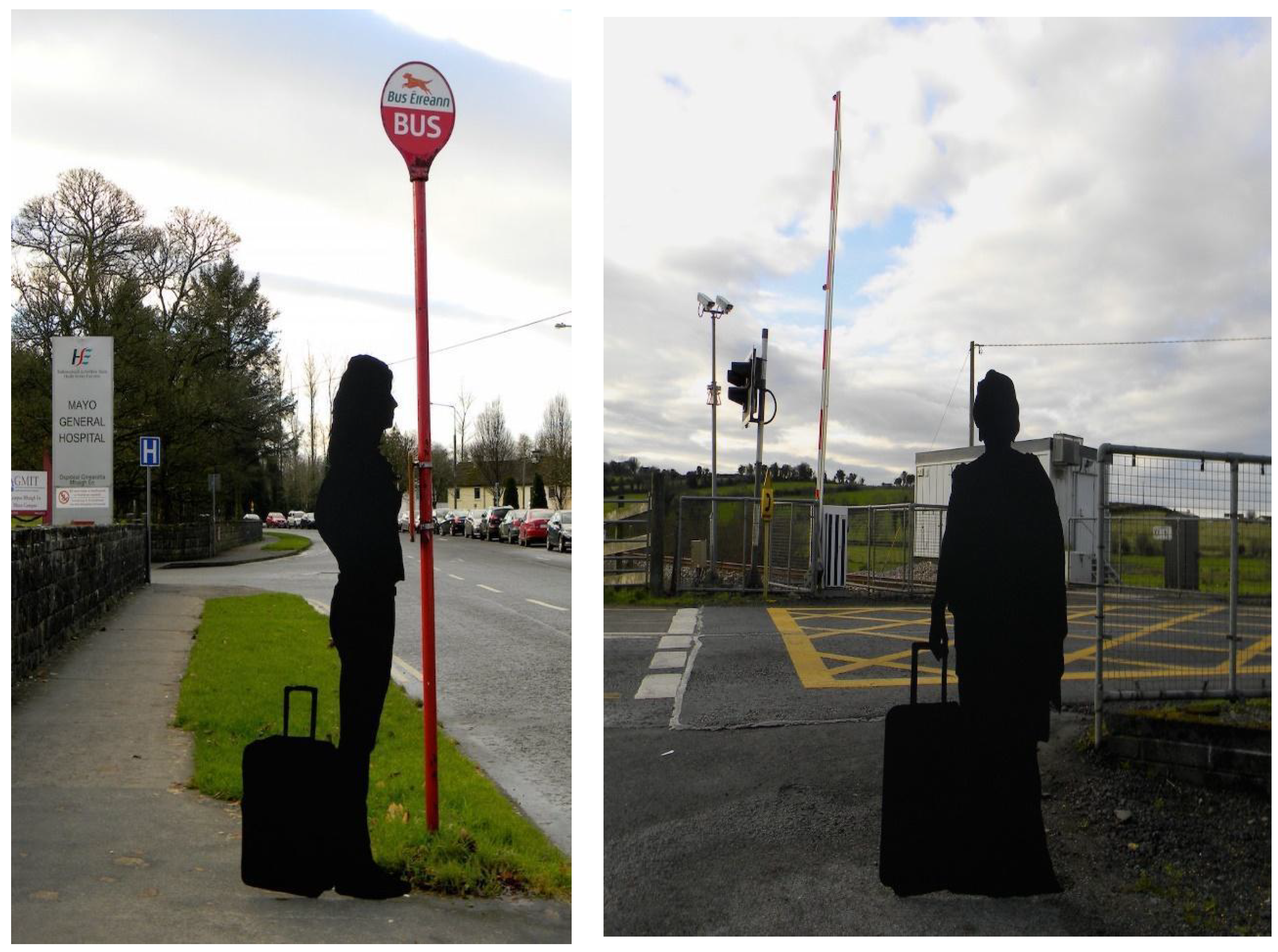 Socsci 12 00475 g014