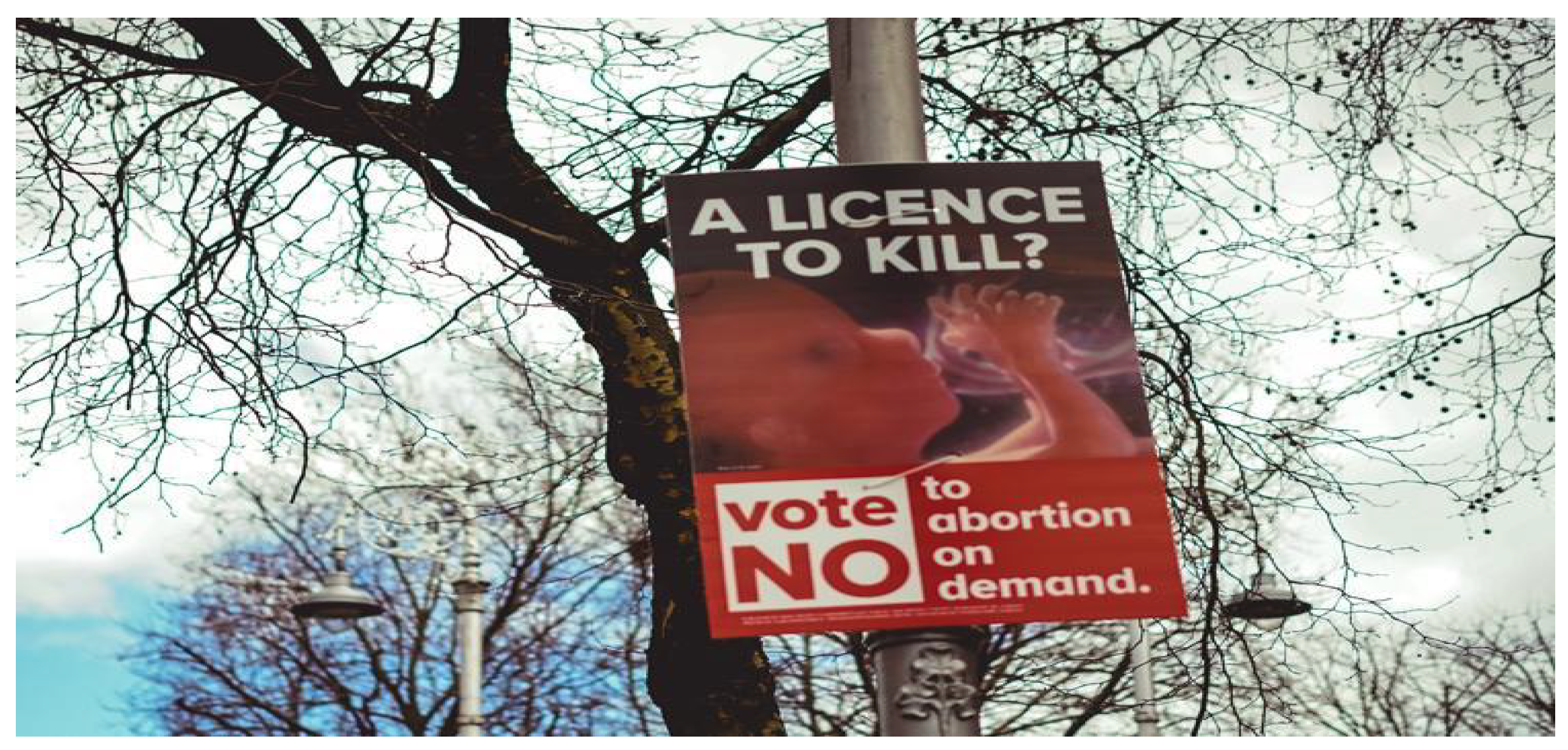 Socsci 12 00475 g021