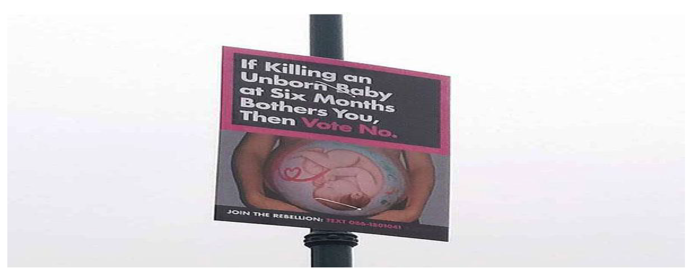 Socsci 12 00475 g022