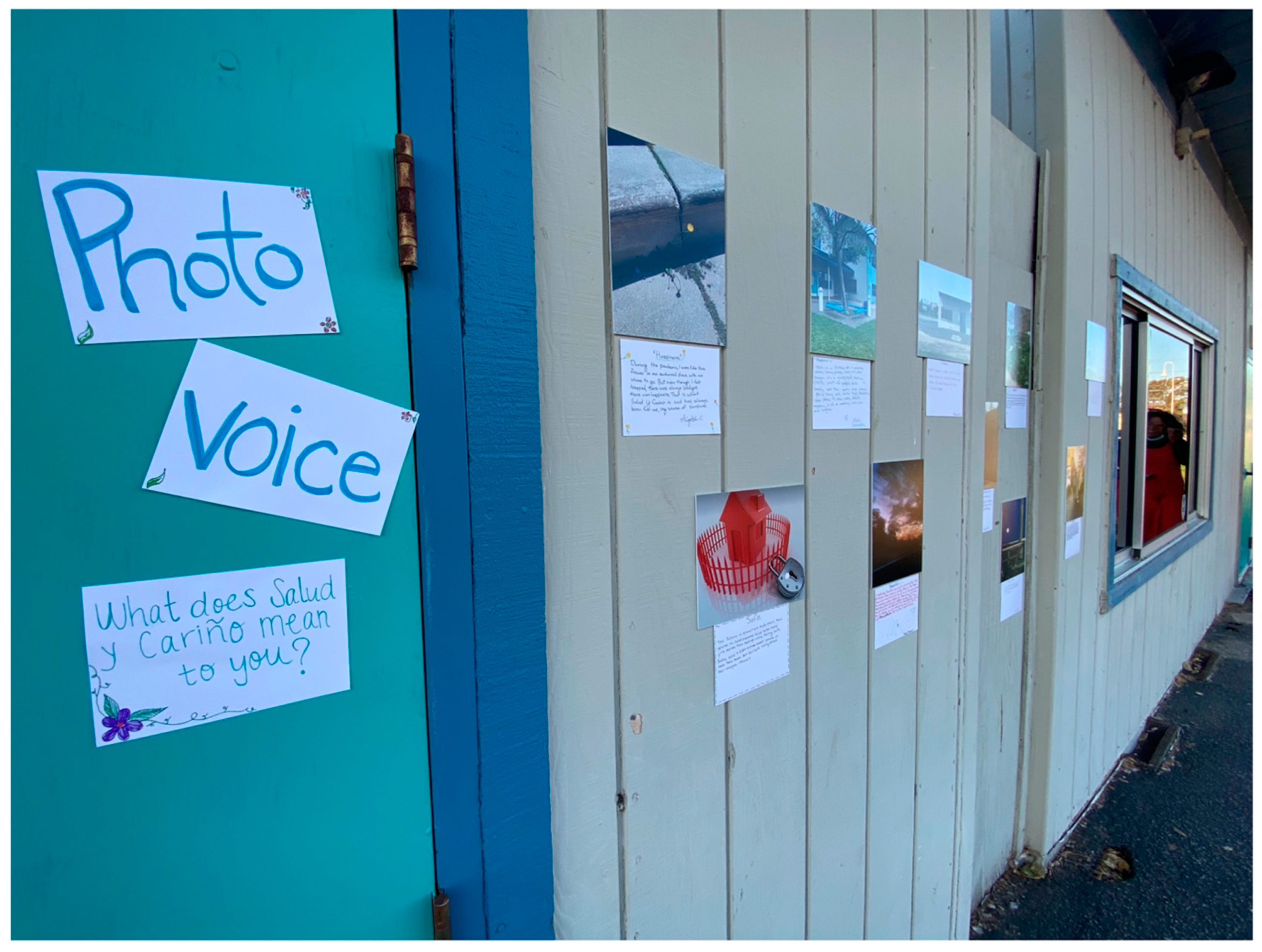 Socsci 12 00483 g002