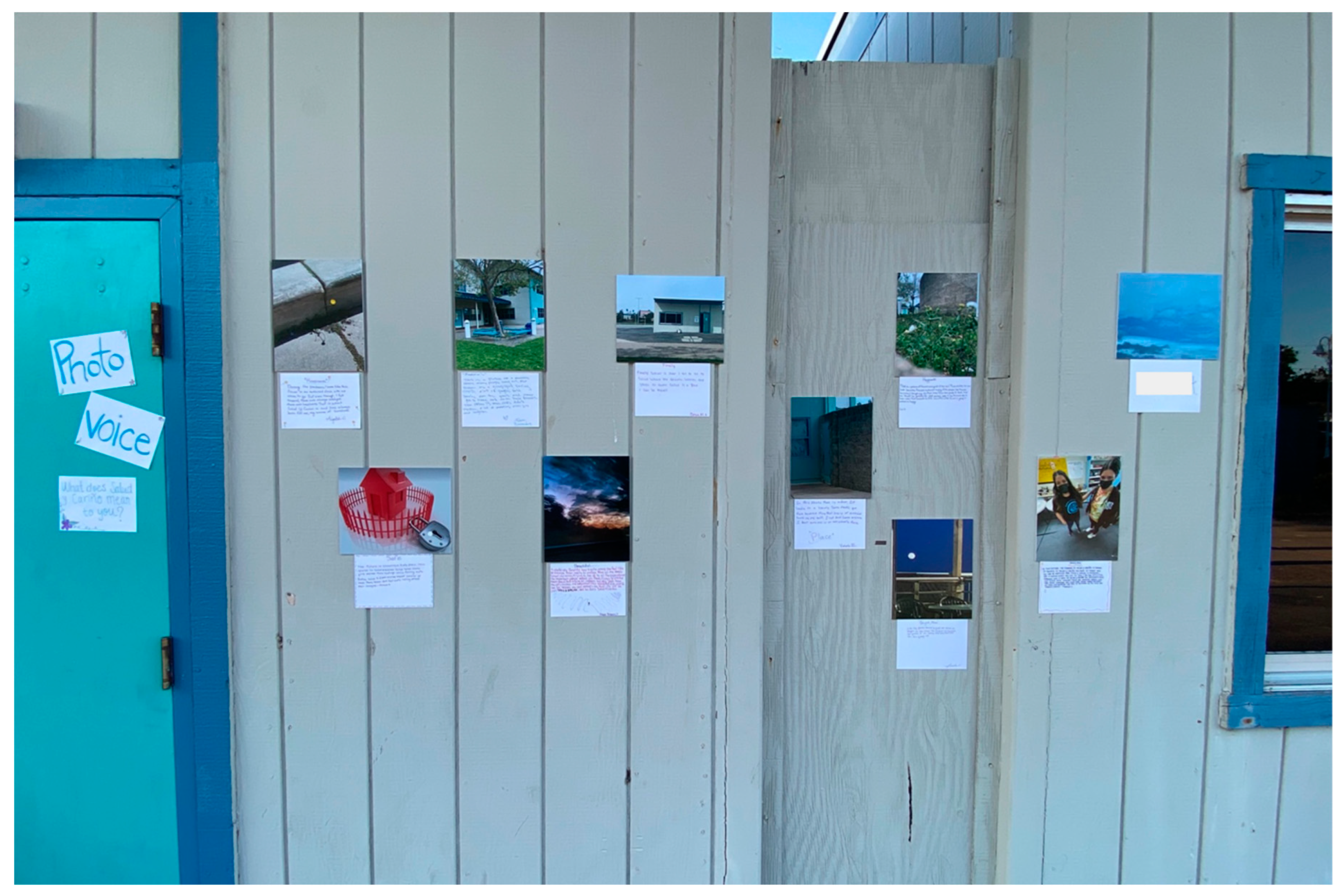 Socsci 12 00483 g003