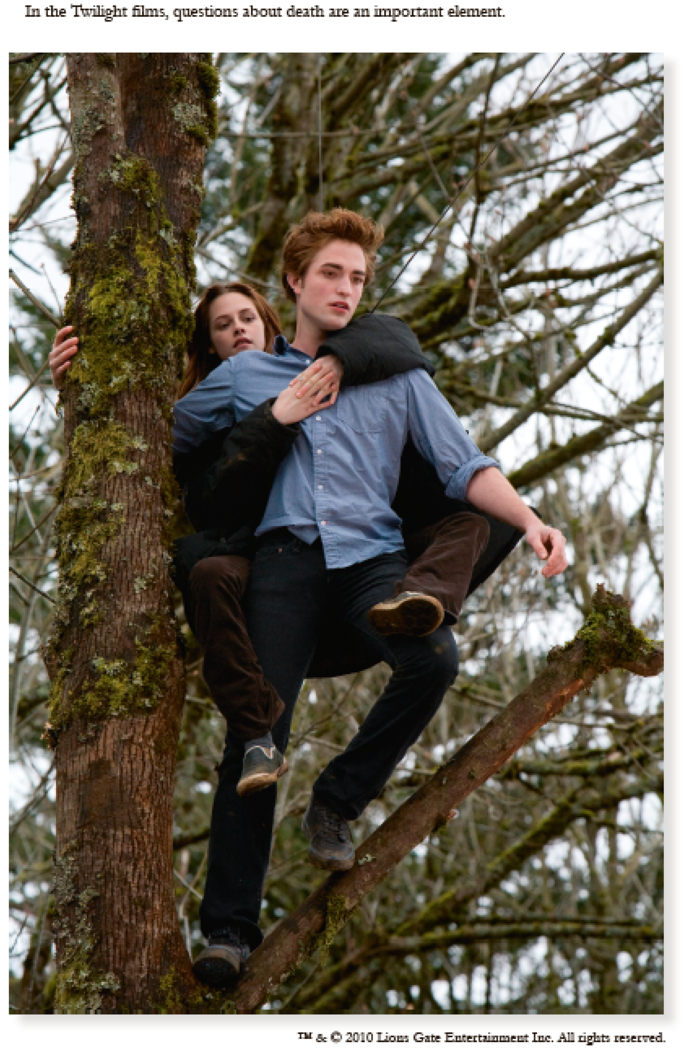 Socsci 12 00533 i007