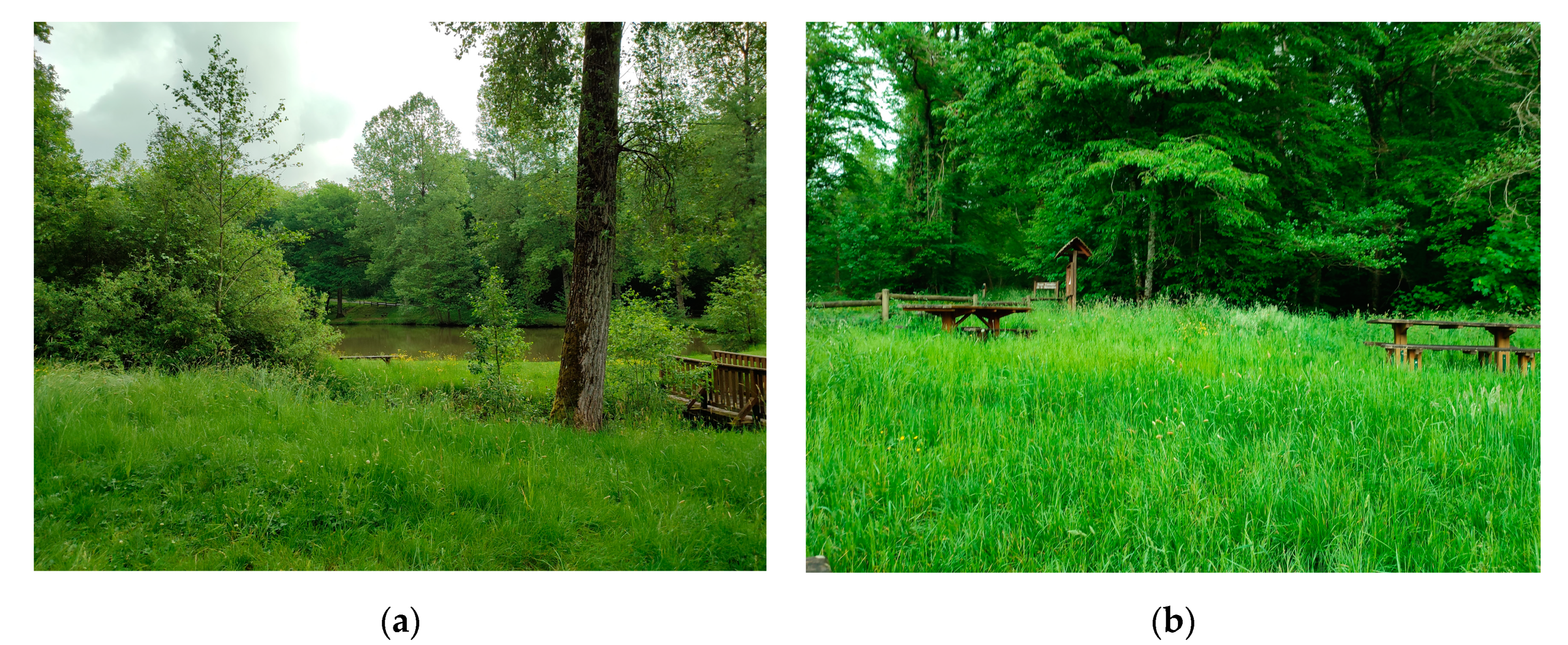 Socsci 12 00591 g005