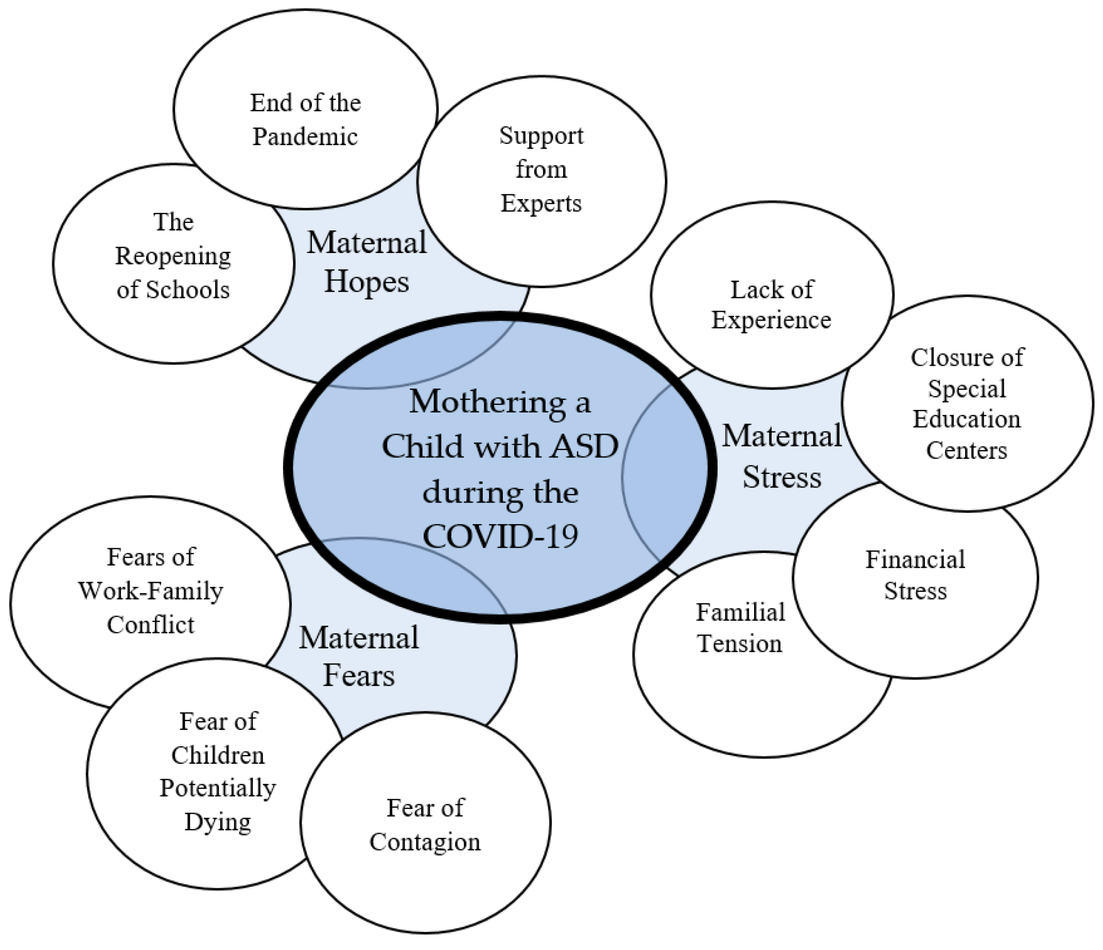 Socsci 12 00633 g001