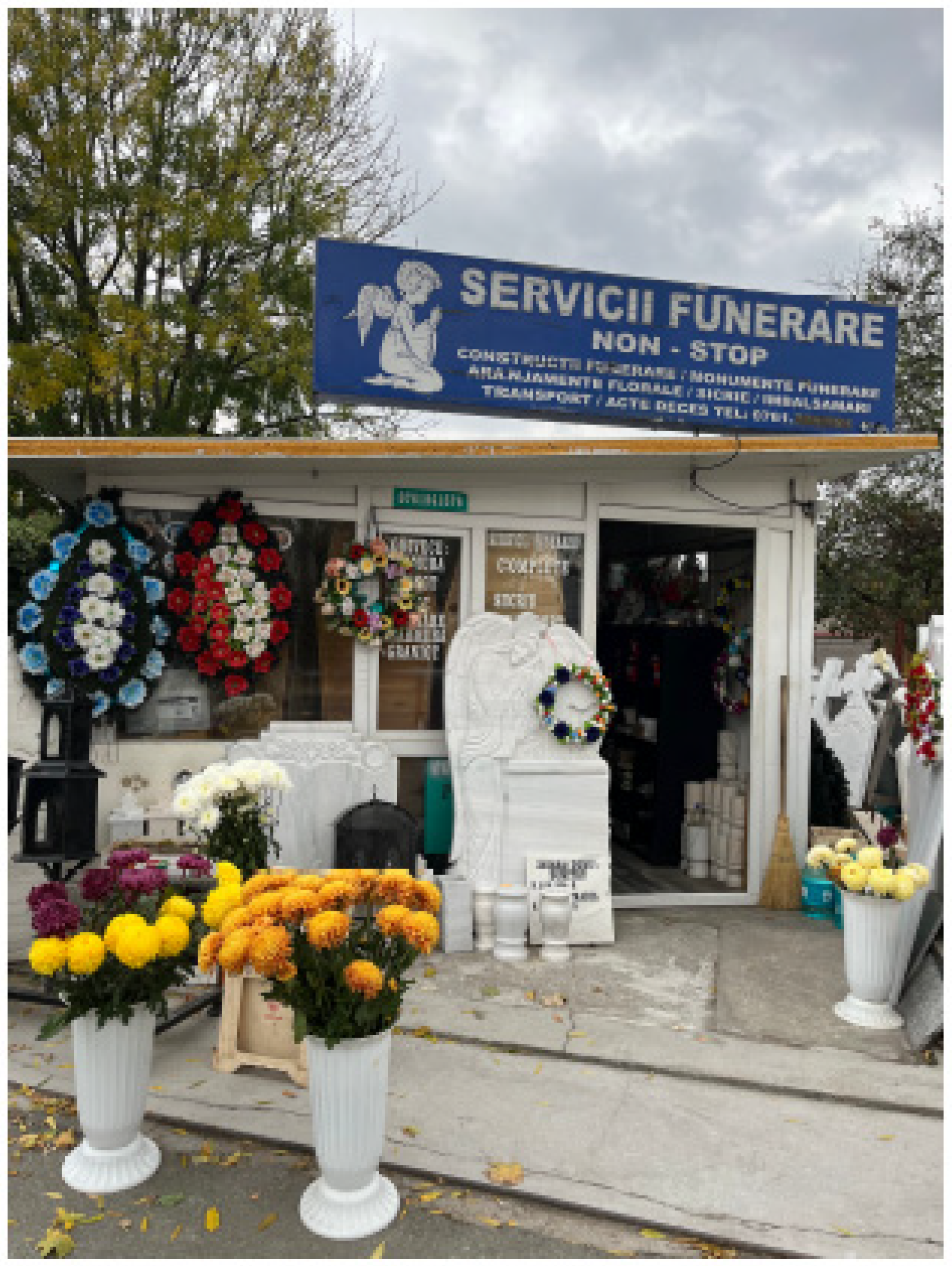 Socsci 12 00686 g005