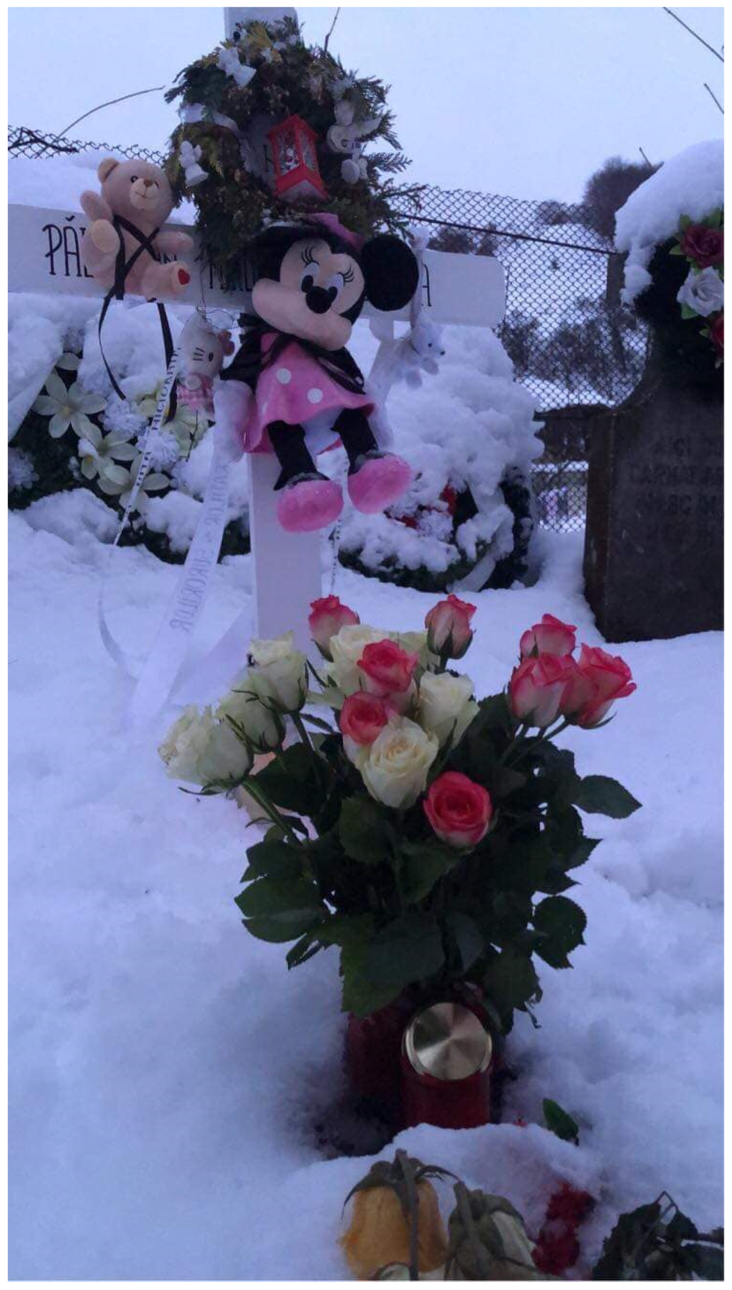 Socsci 12 00686 g007