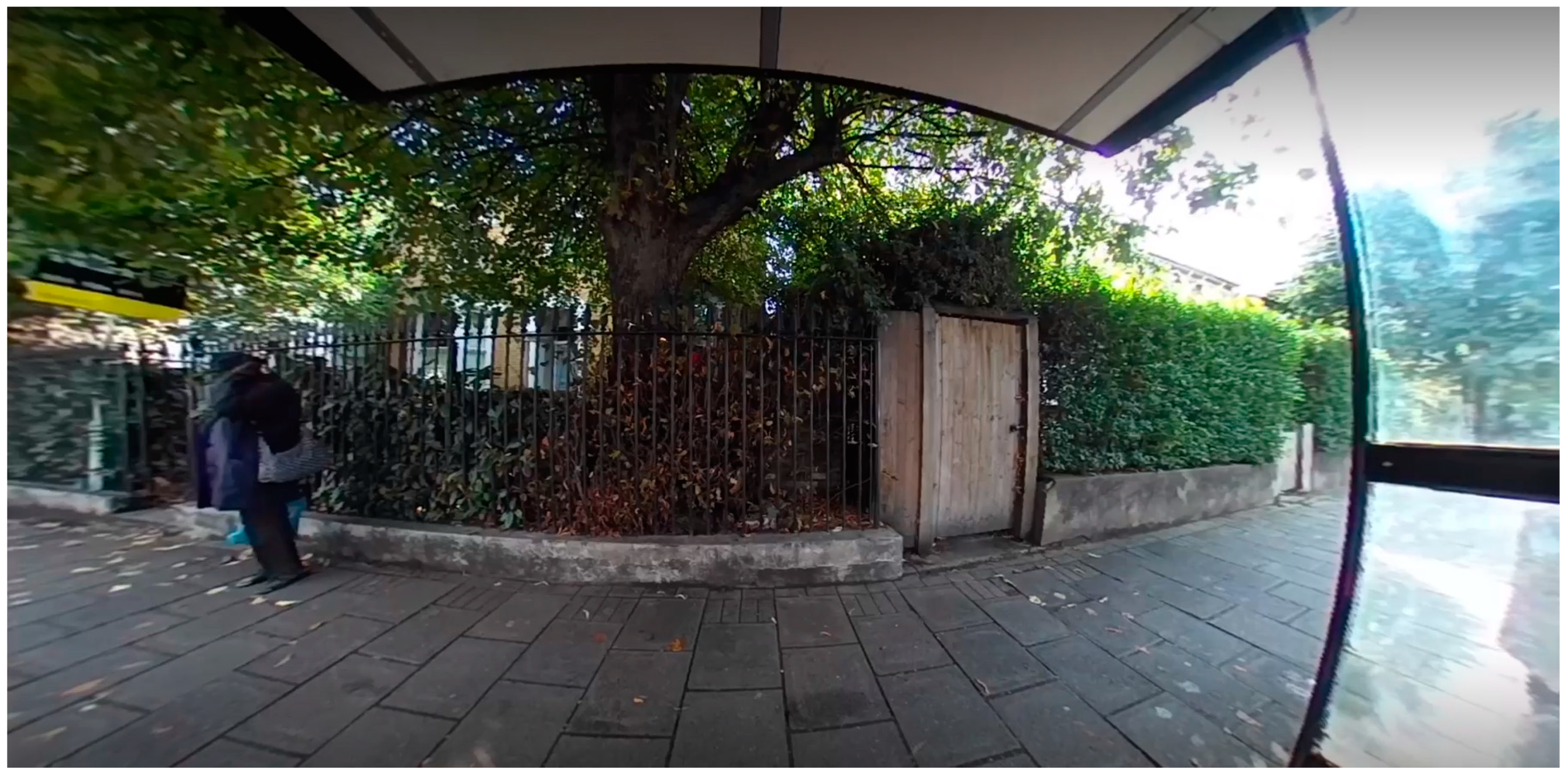 Socsci 13 00059 g002