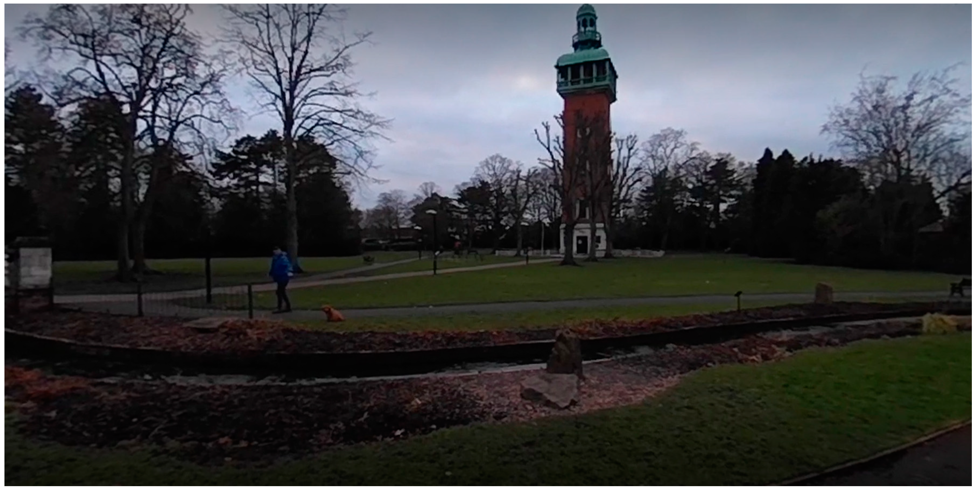 Socsci 13 00059 g004