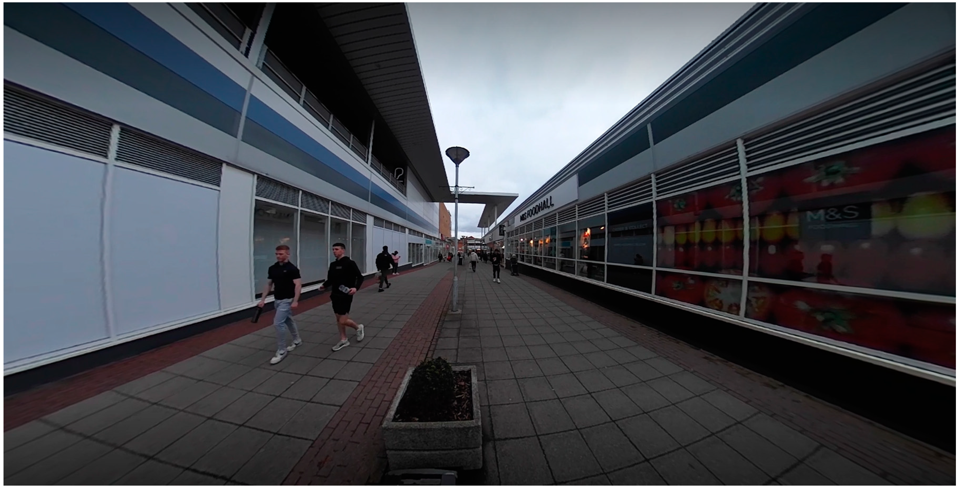 Socsci 13 00059 g005