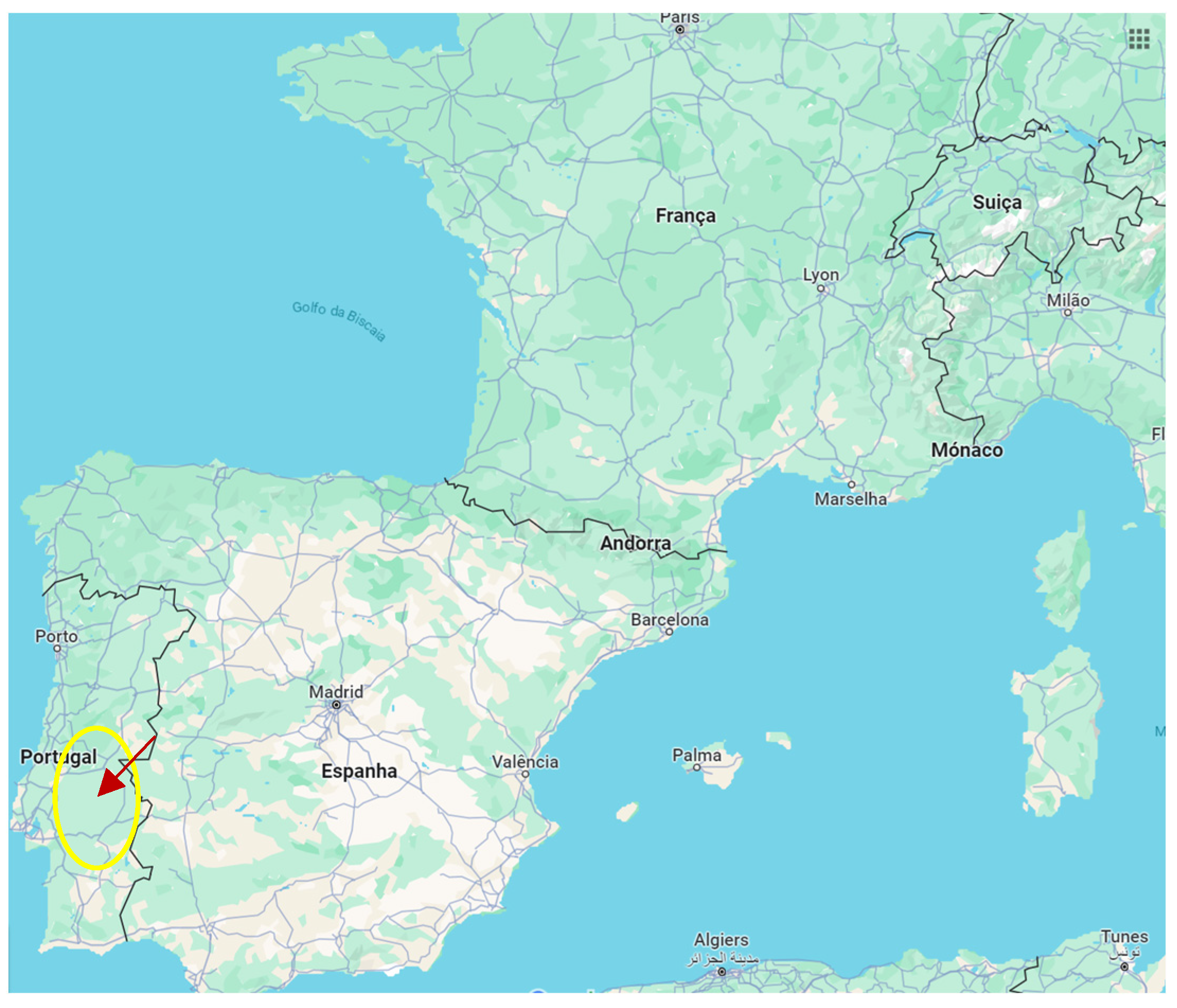 Socsci 13 00184 g001