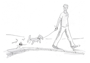 Socsci 13 00234 i005