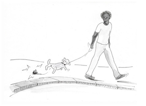 Socsci 13 00234 i006