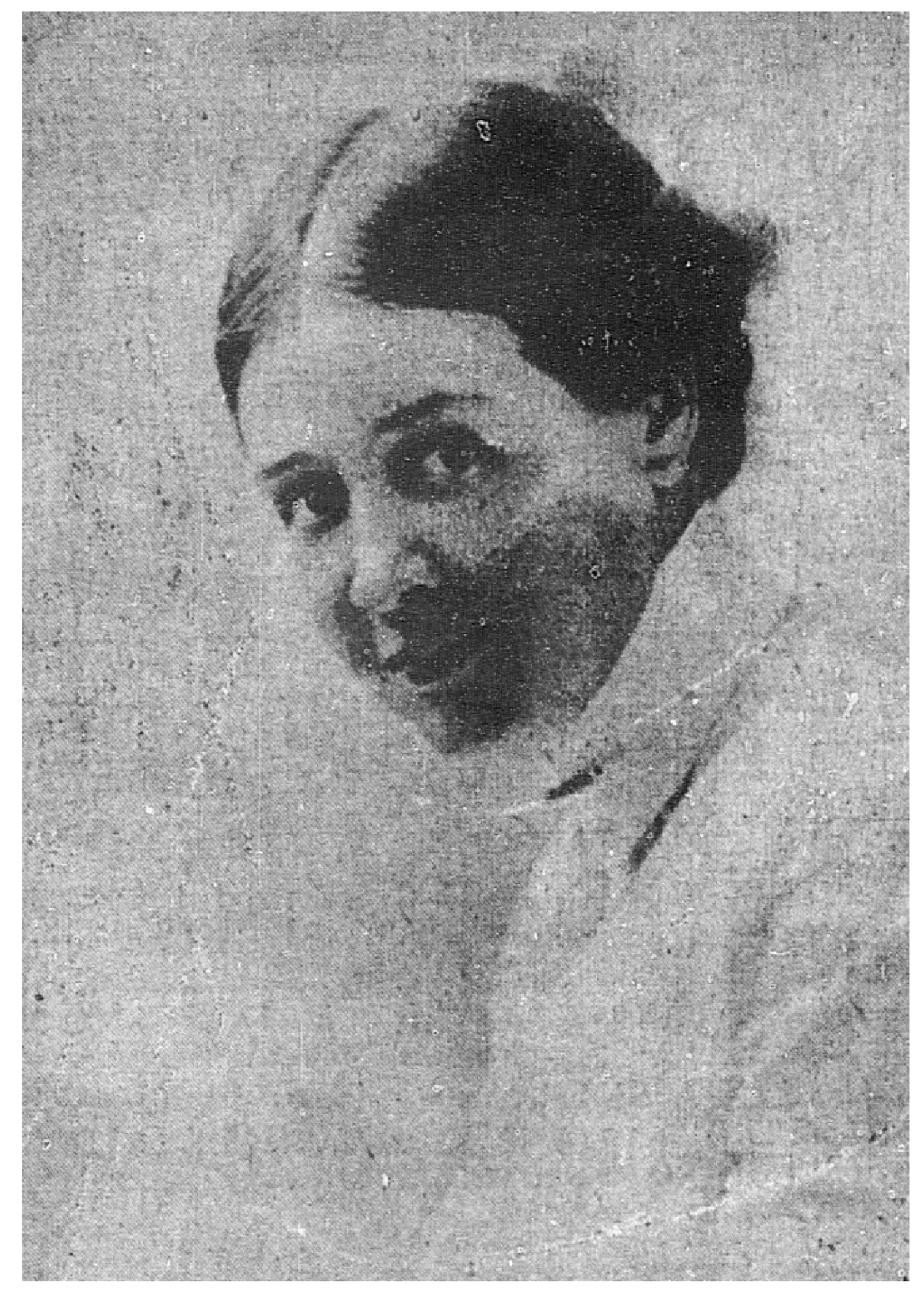 Socsci 13 00380 g002