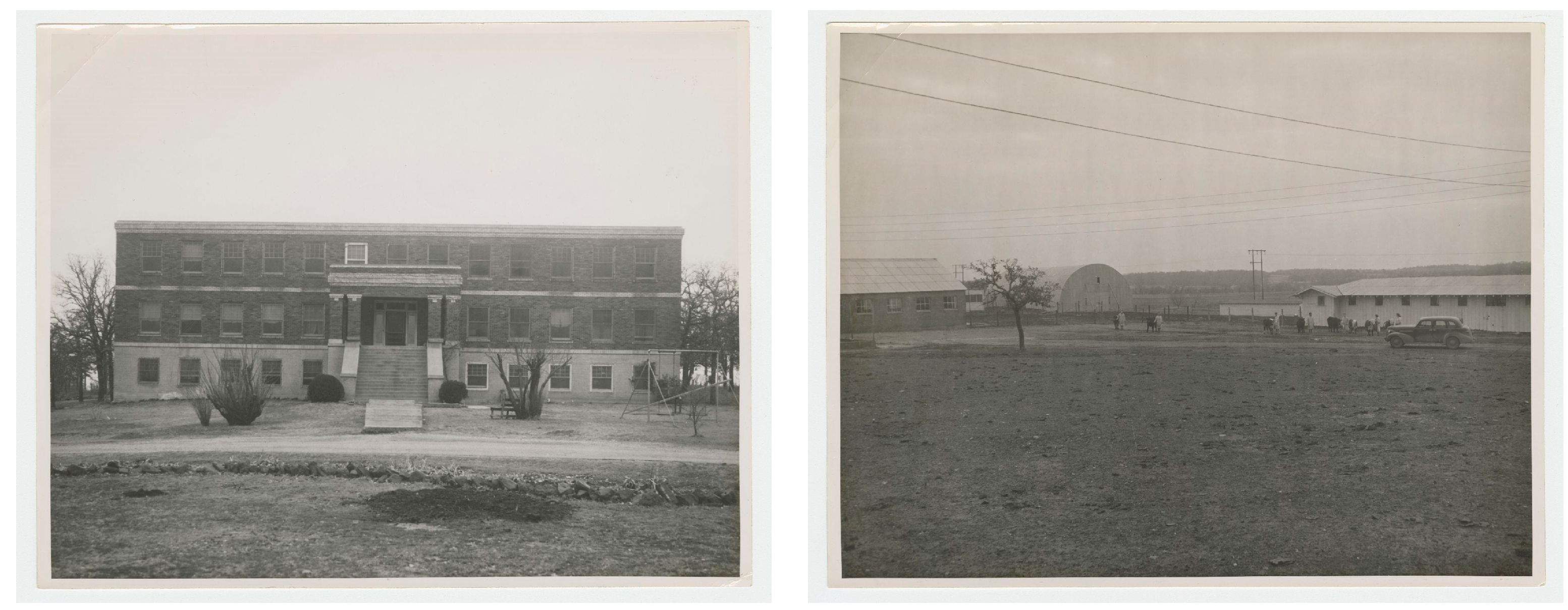 Socsci 13 00380 g003